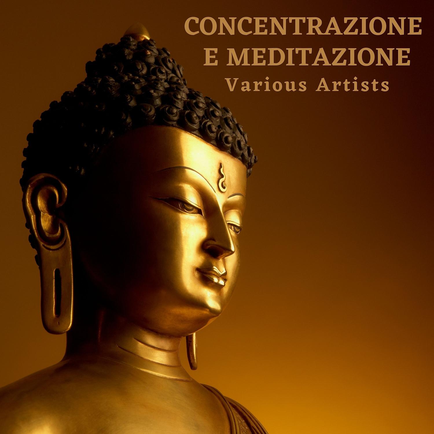 Постер альбома Concentrazione e meditazione