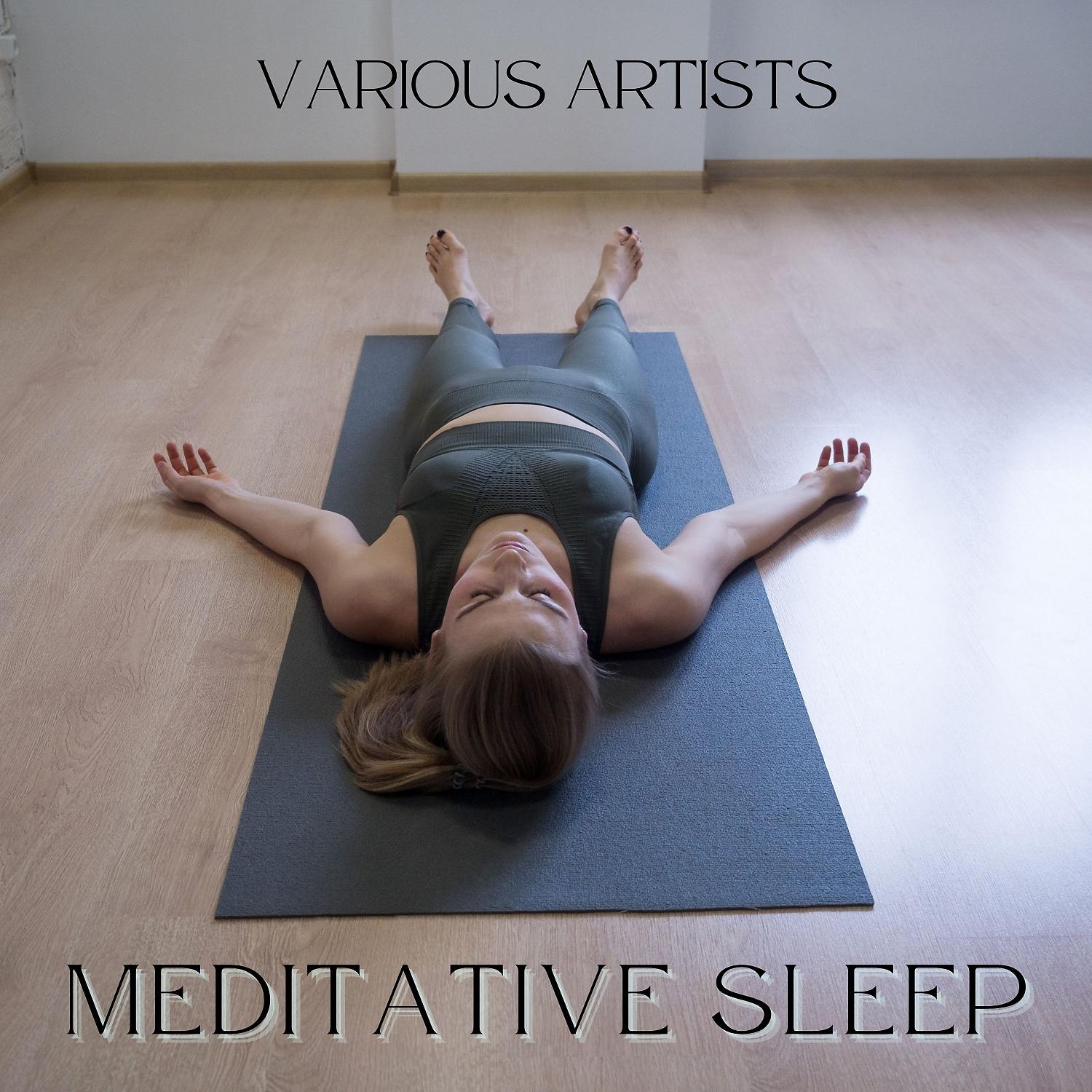 Постер альбома Meditative Sleep