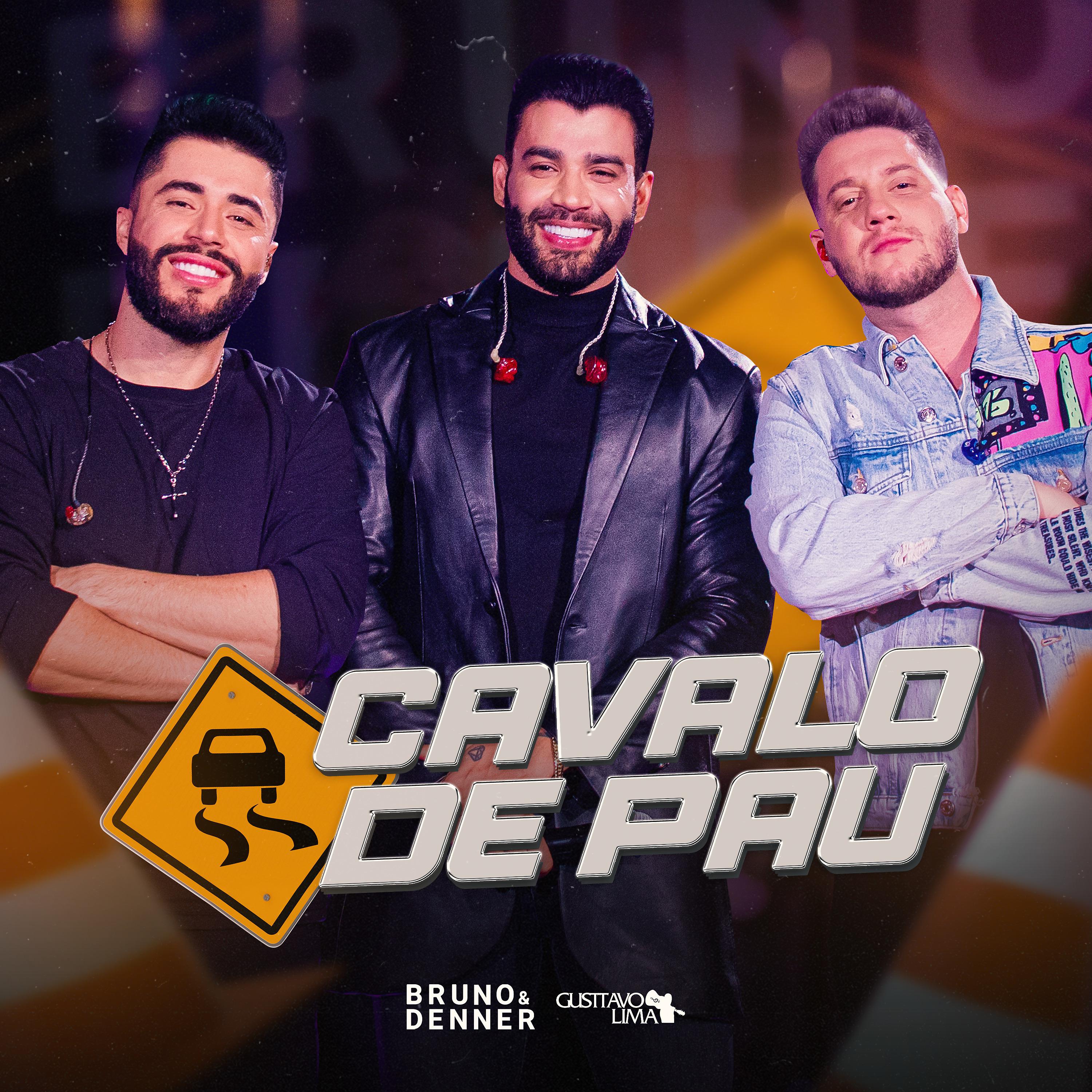 Постер альбома Cavalo de Pau