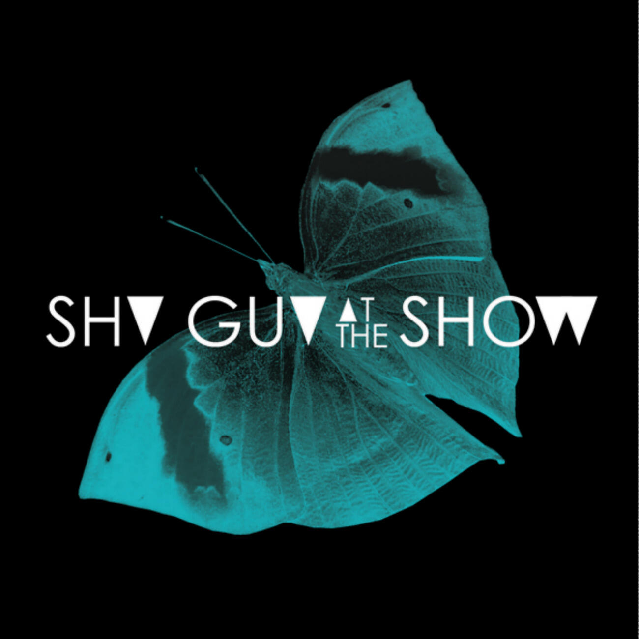 Shy Guy At The Show - Tears of Ice