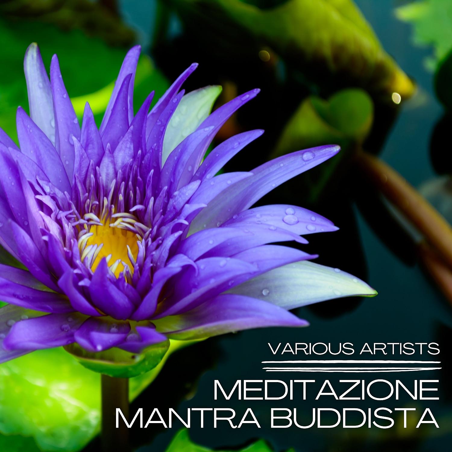 Постер альбома Meditazione mantra buddista