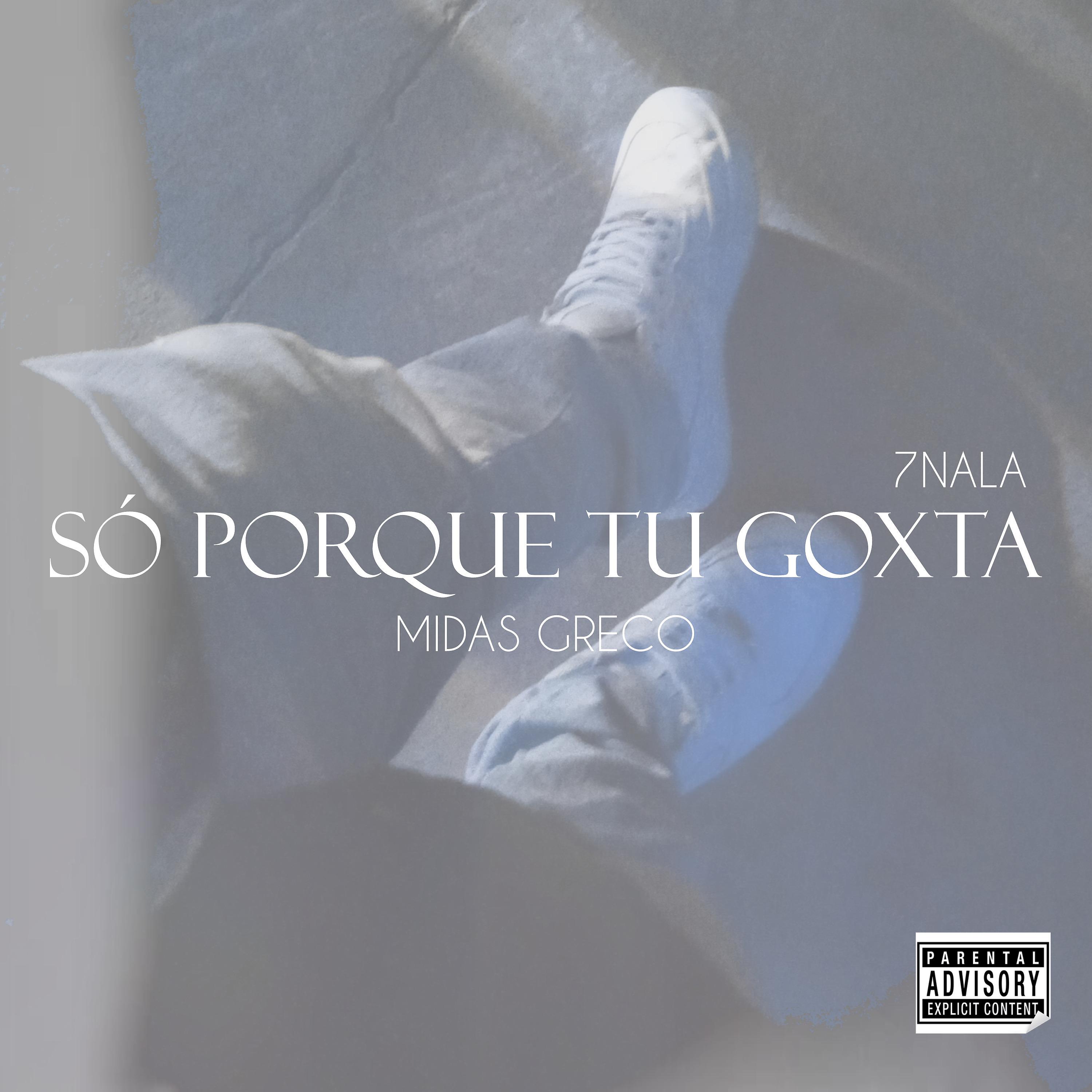 Постер альбома Só Porque Tu Goxta