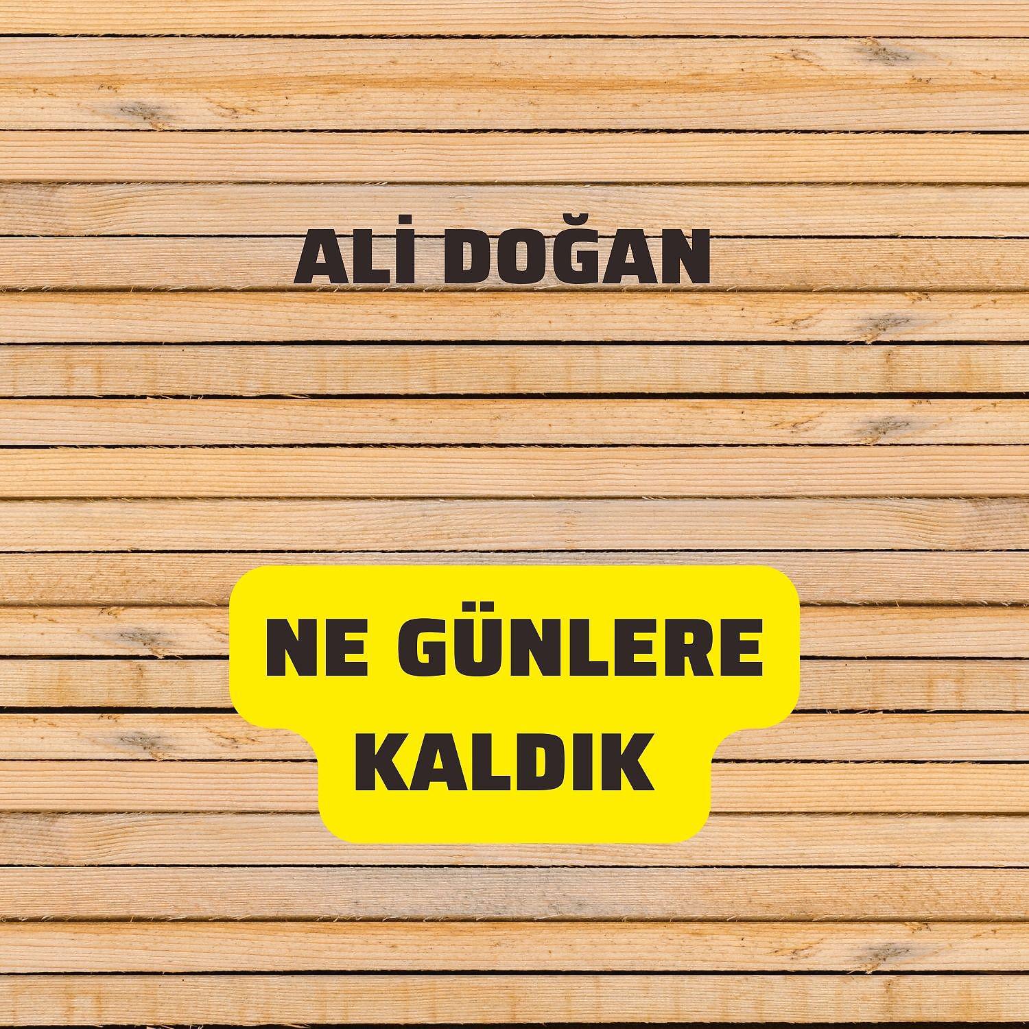 Постер альбома Ne Günlere Kaldık