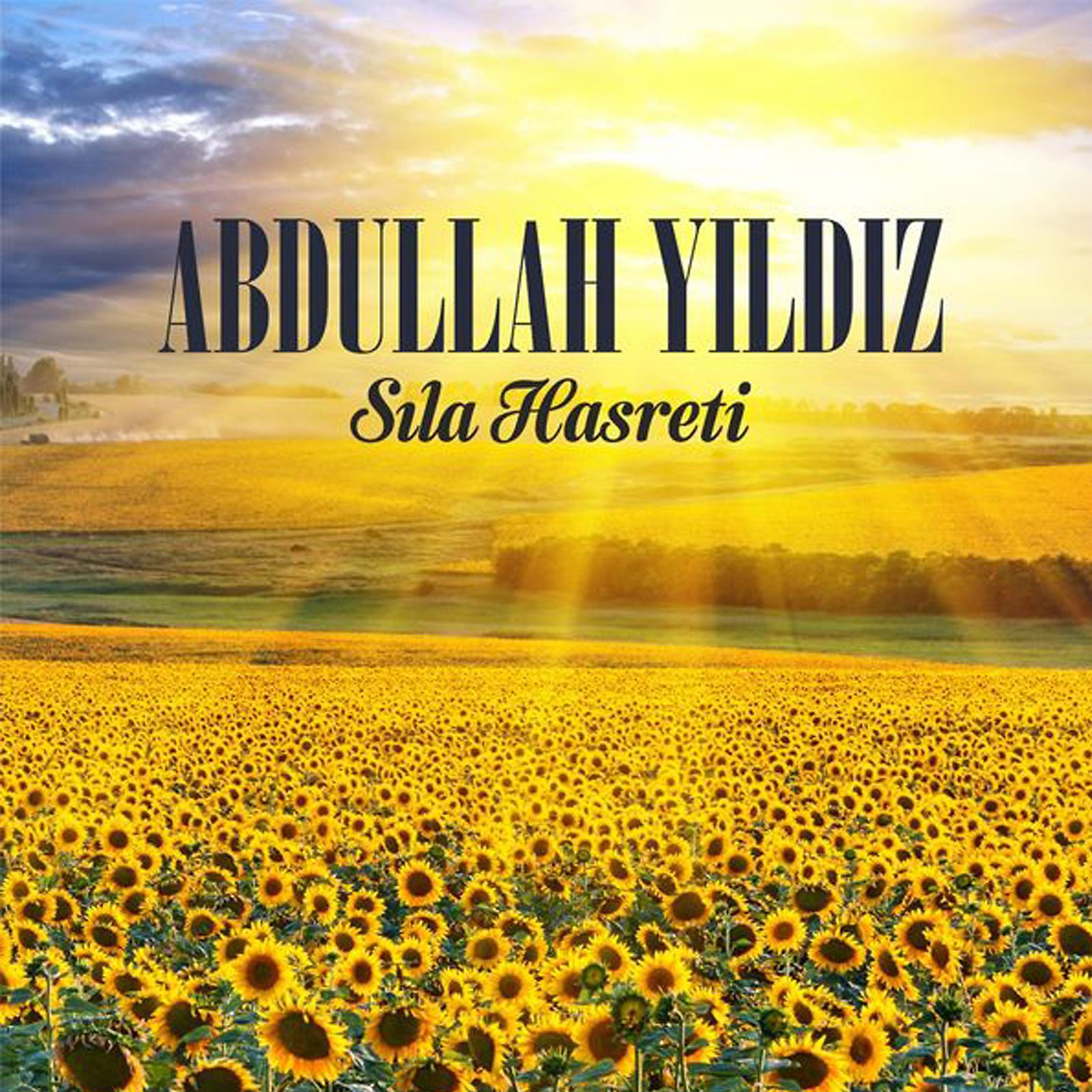 Постер альбома Sıla Hasreti