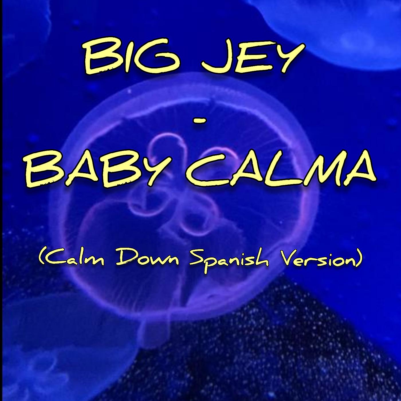 Постер альбома Baby Calma (Calm Down - Spanish Version)