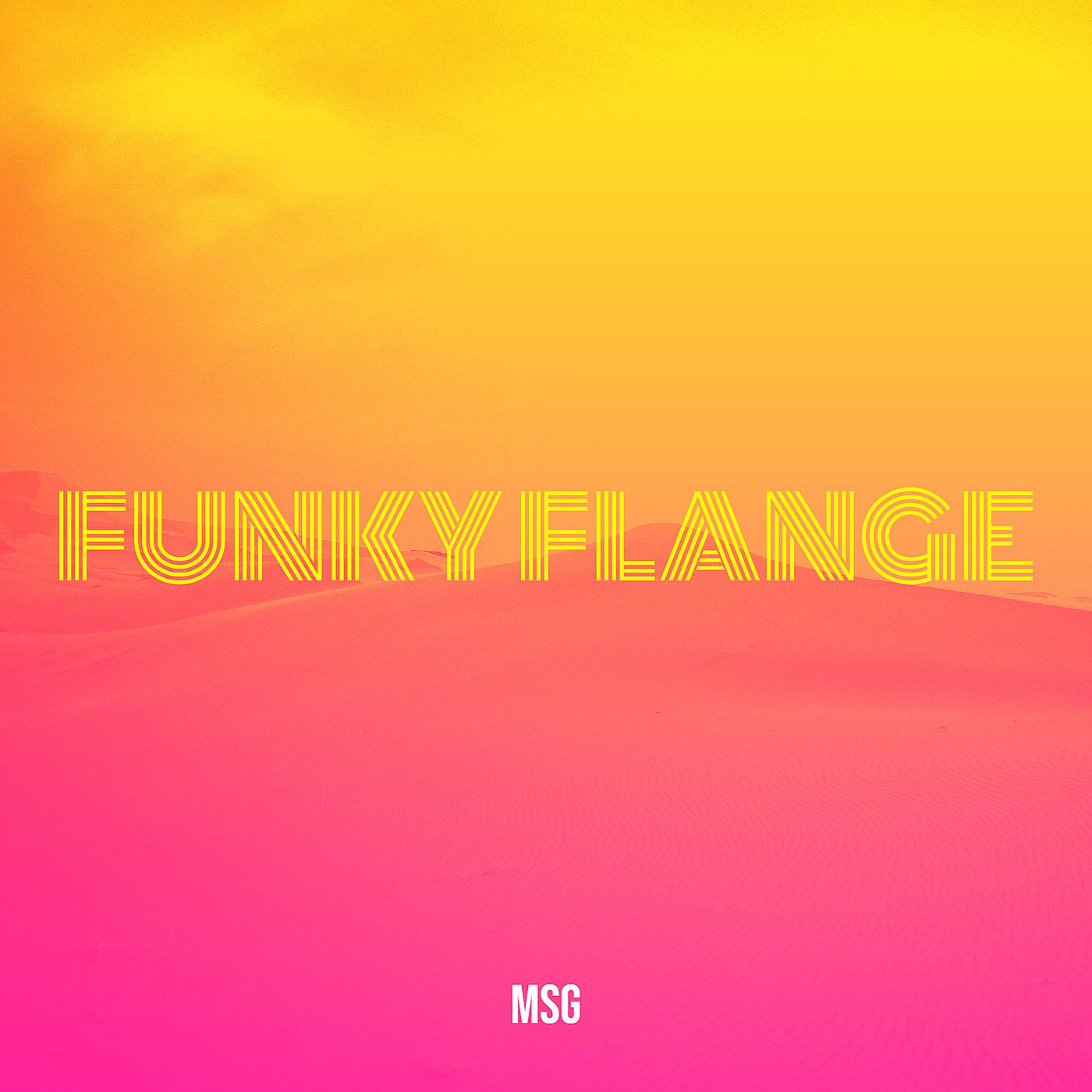 Постер альбома Funky Flange