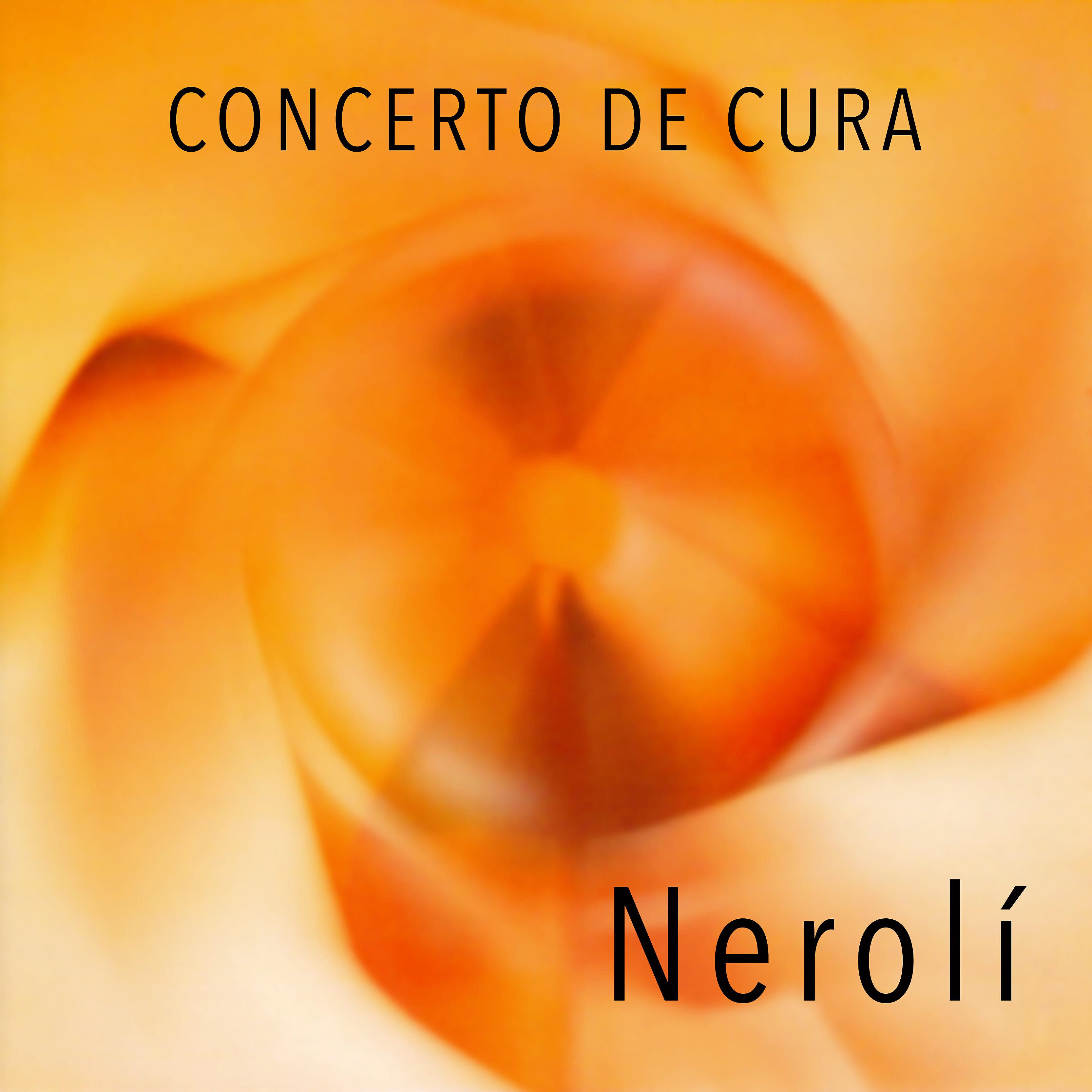 Concerto de Cura - Caminhos dos Ventos