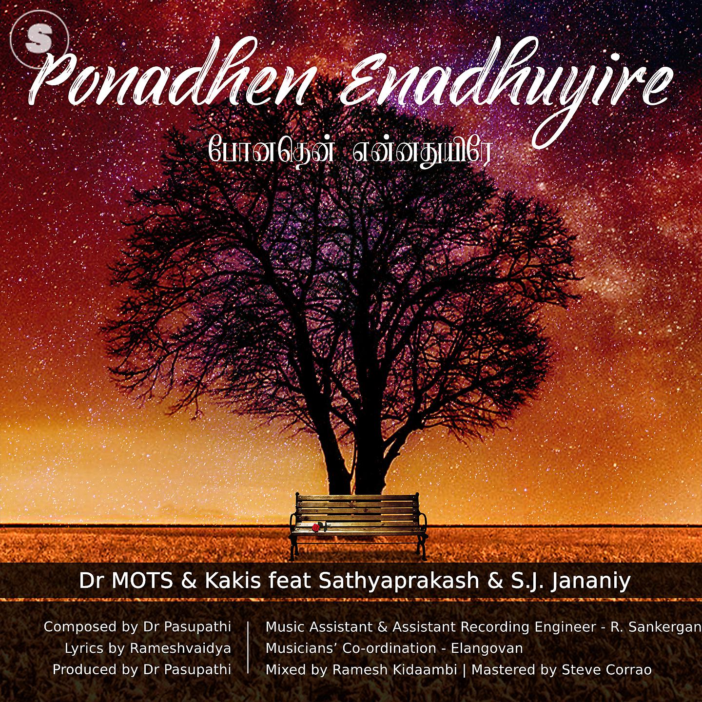 Постер альбома Ponadhen Enadhuyire