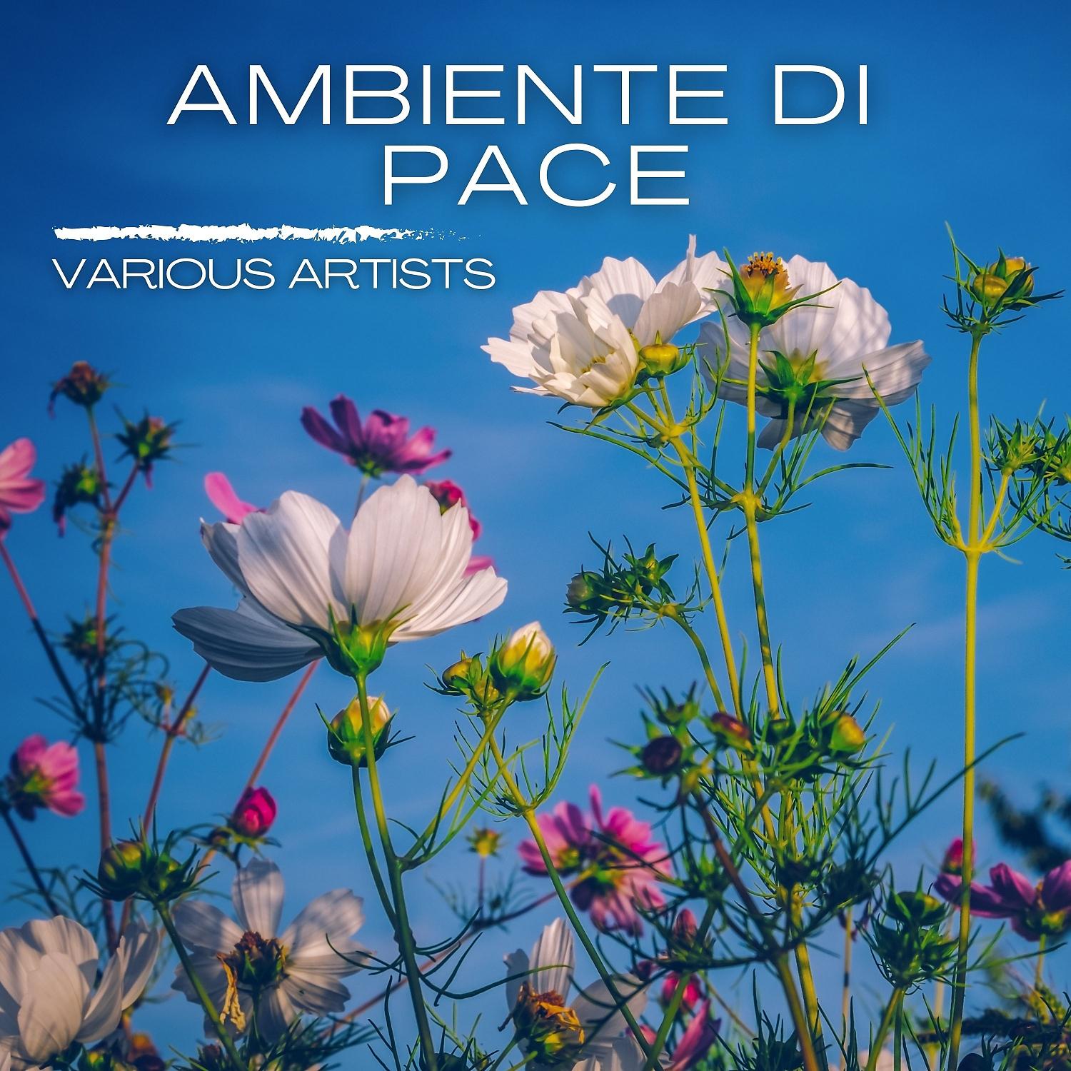 Постер альбома Ambiente di pace