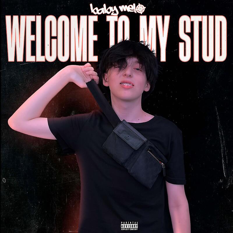Постер альбома Welcome to my stud