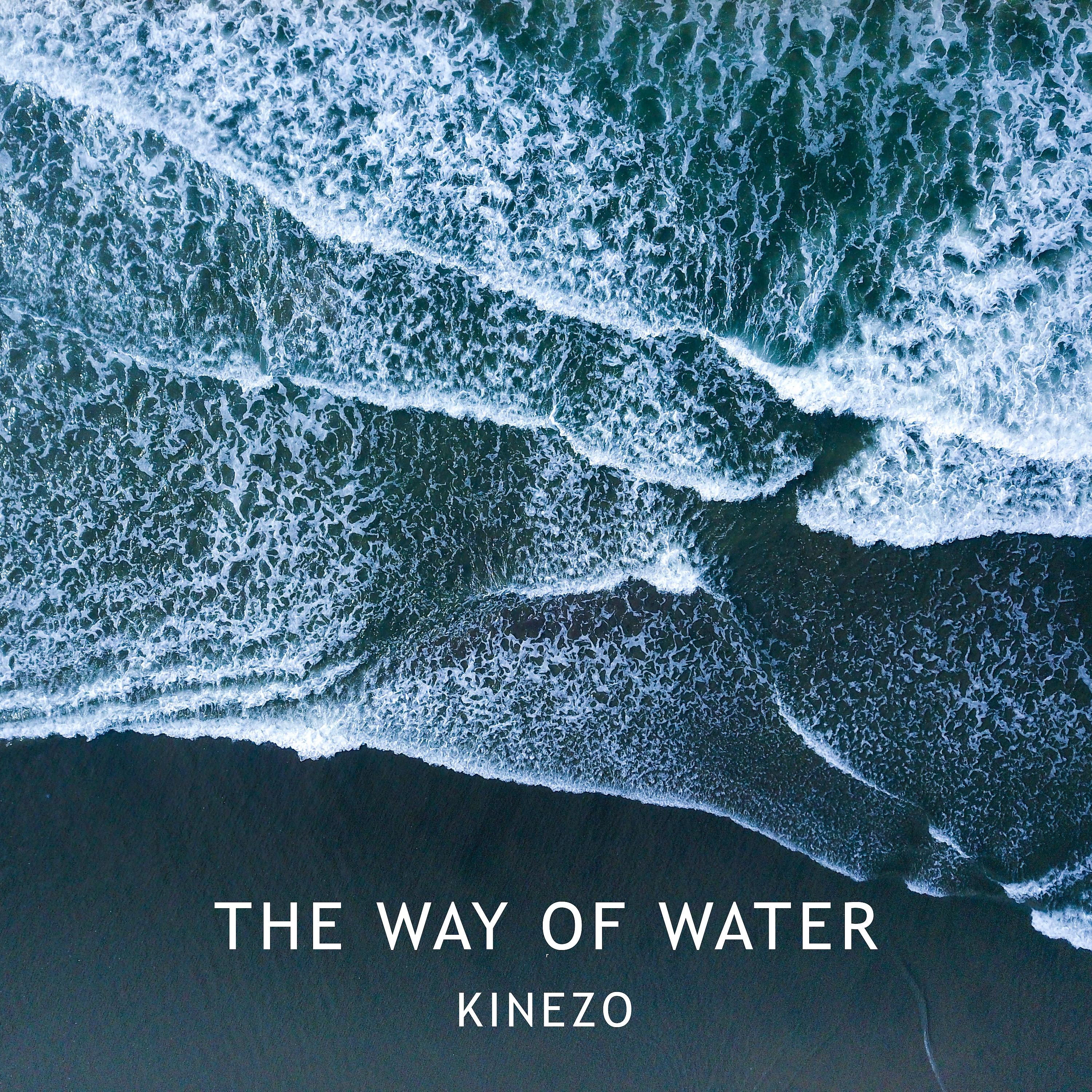 Постер альбома The Way of Water