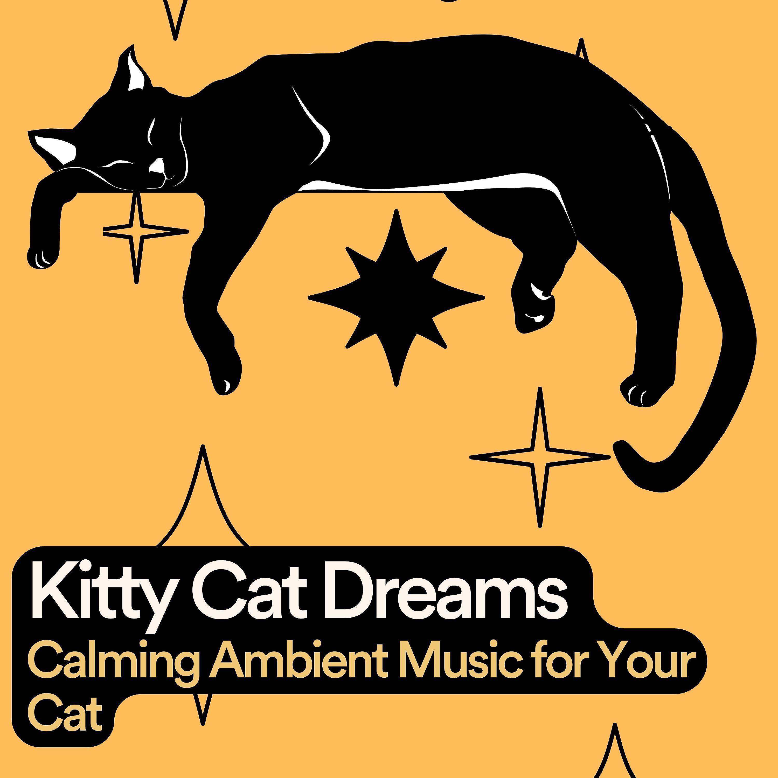 Постер альбома Kitty Cat Dreams Calming Ambient Music for Your Cat