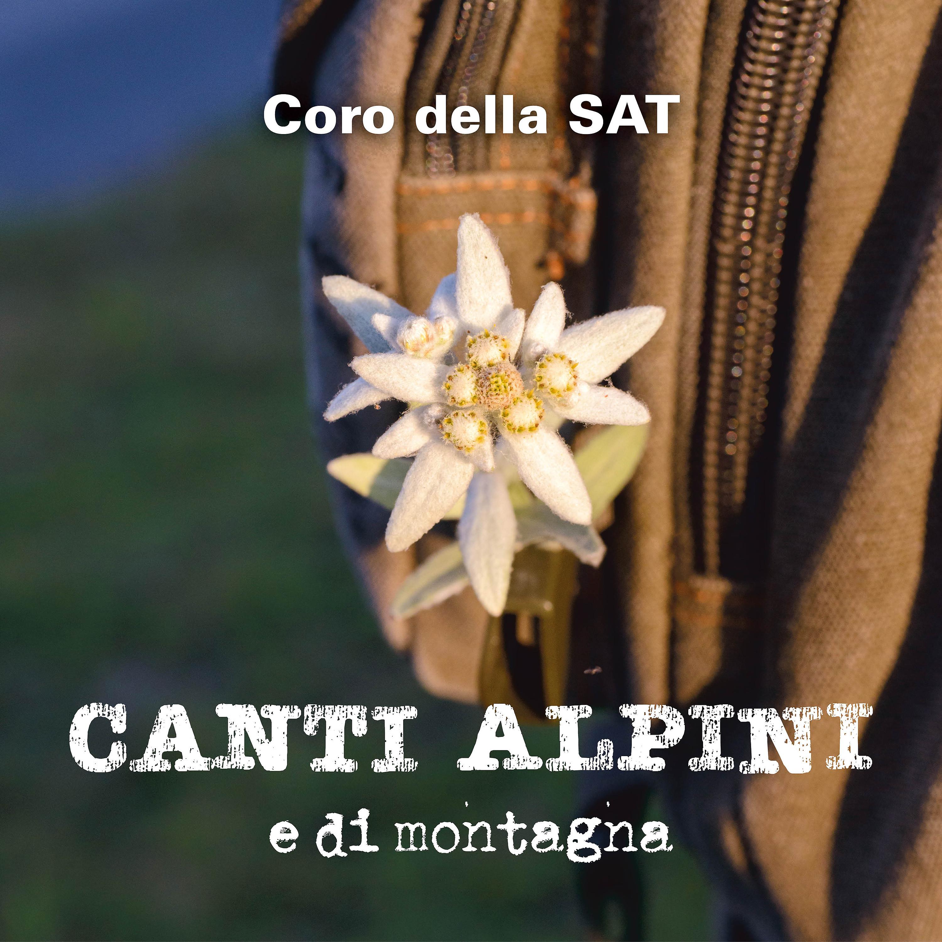 Постер альбома Canti degli Alpini