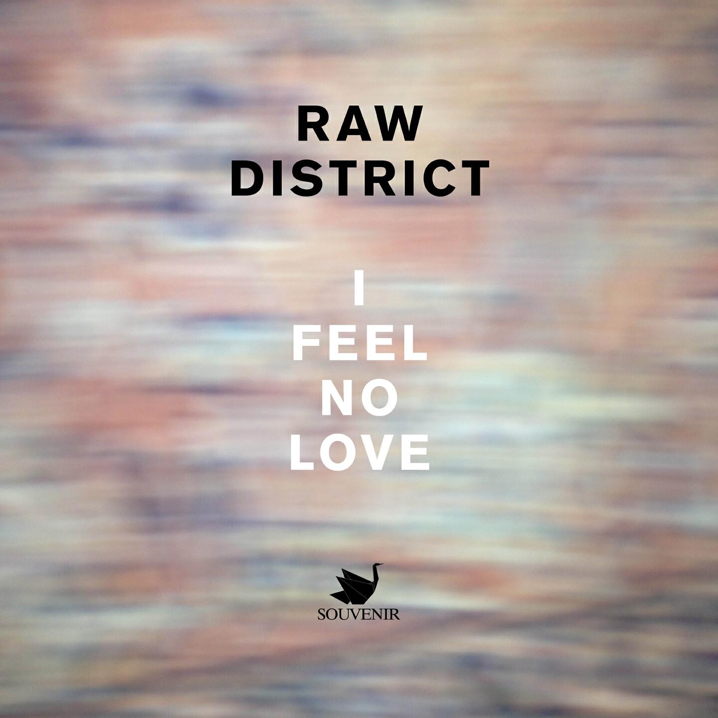 Raw District - Not Lost