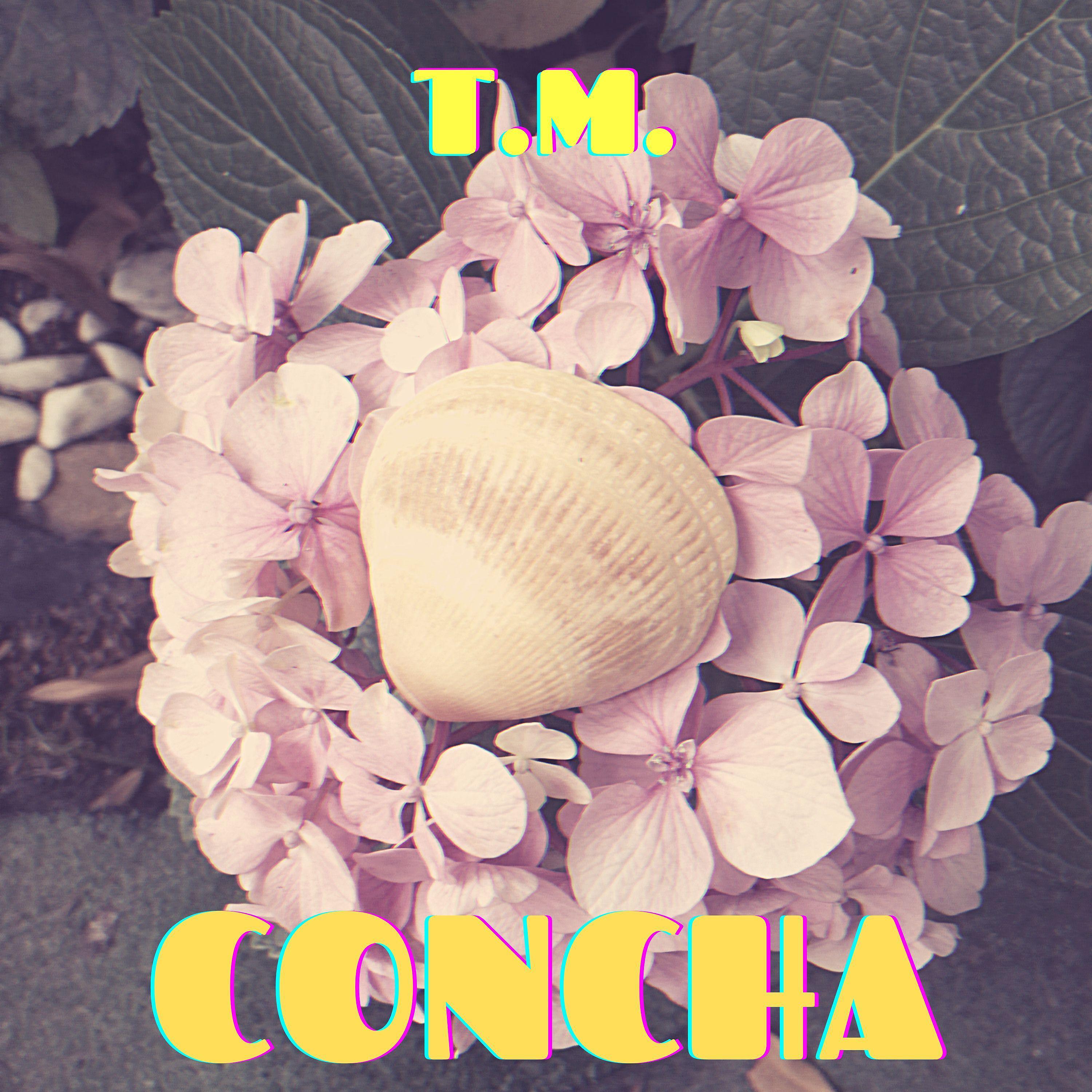 Постер альбома Concha (Rumo)