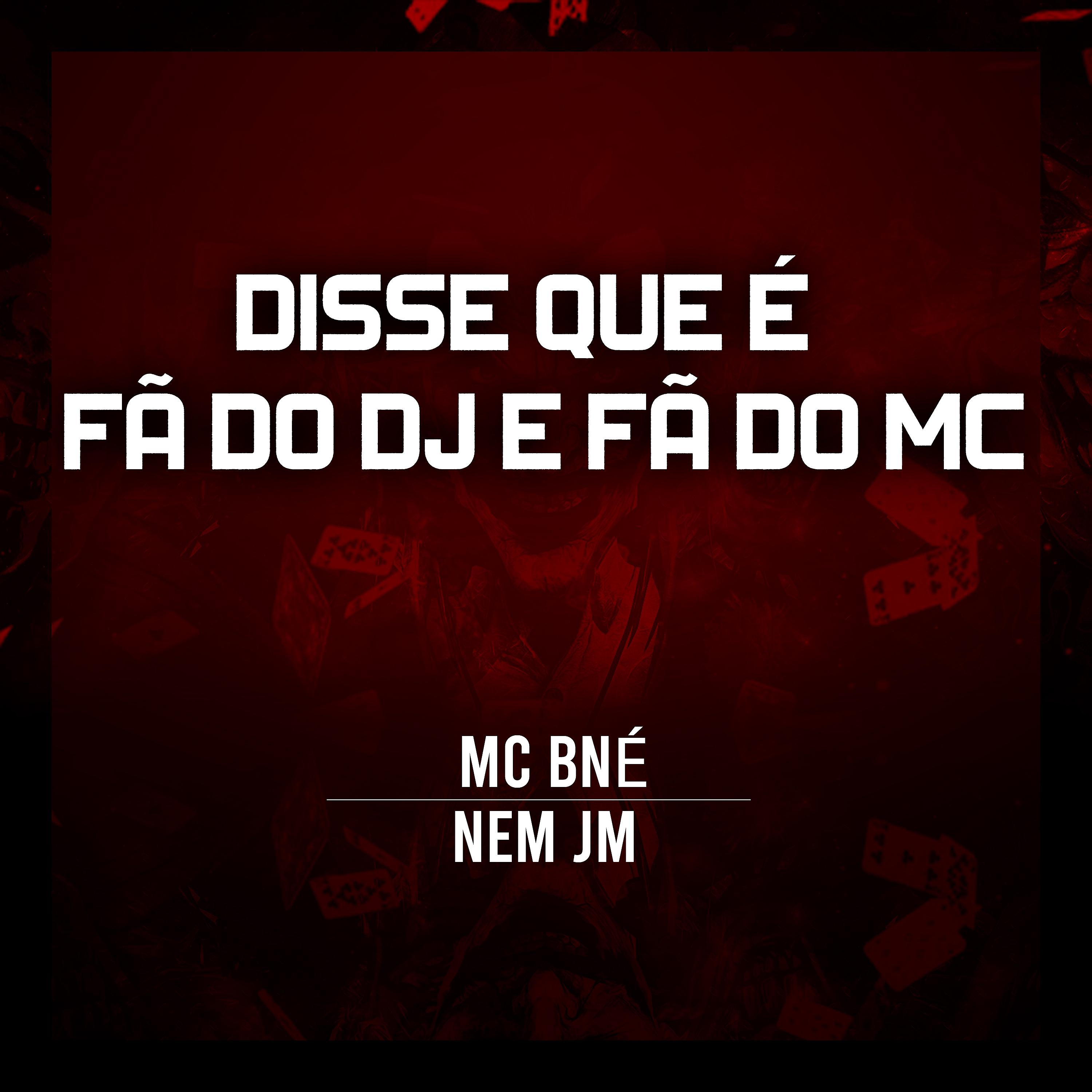 Постер альбома Disse Que É Fã do Dj e Fã do Mc
