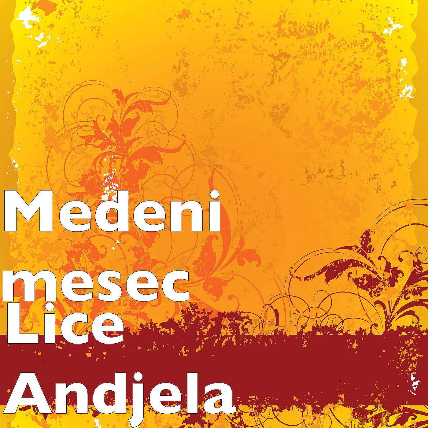 Постер альбома Lice Andjela