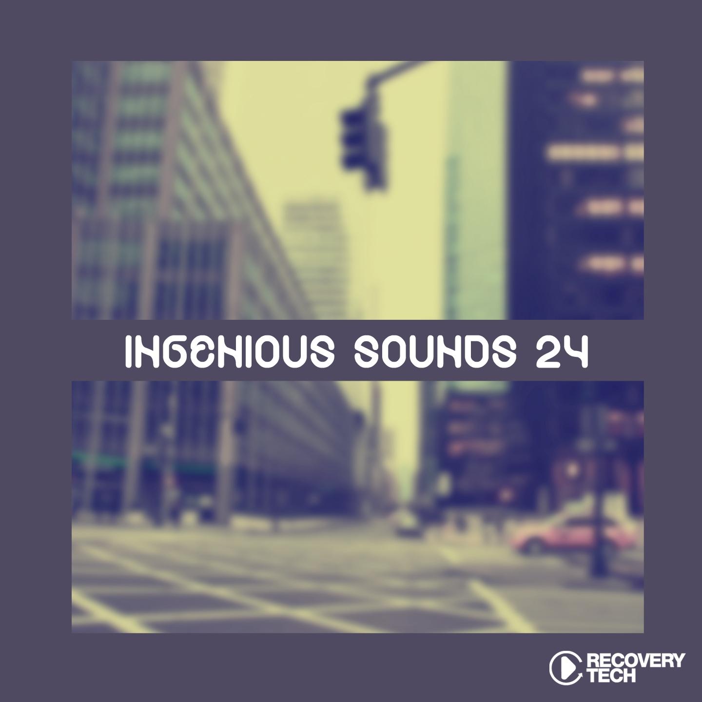 Постер альбома Ingenious Sounds, Vol. 24