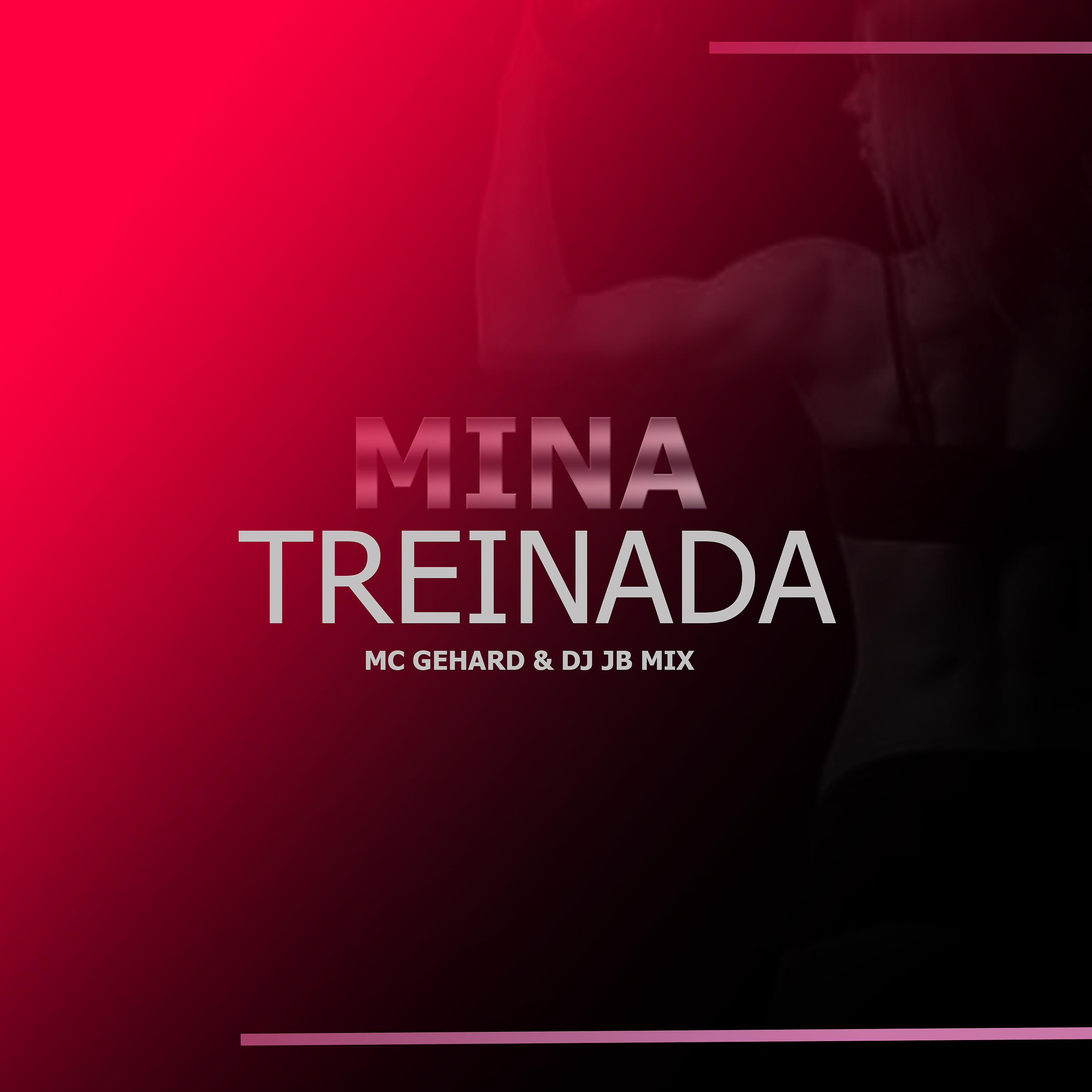 Постер альбома Mina Treinada