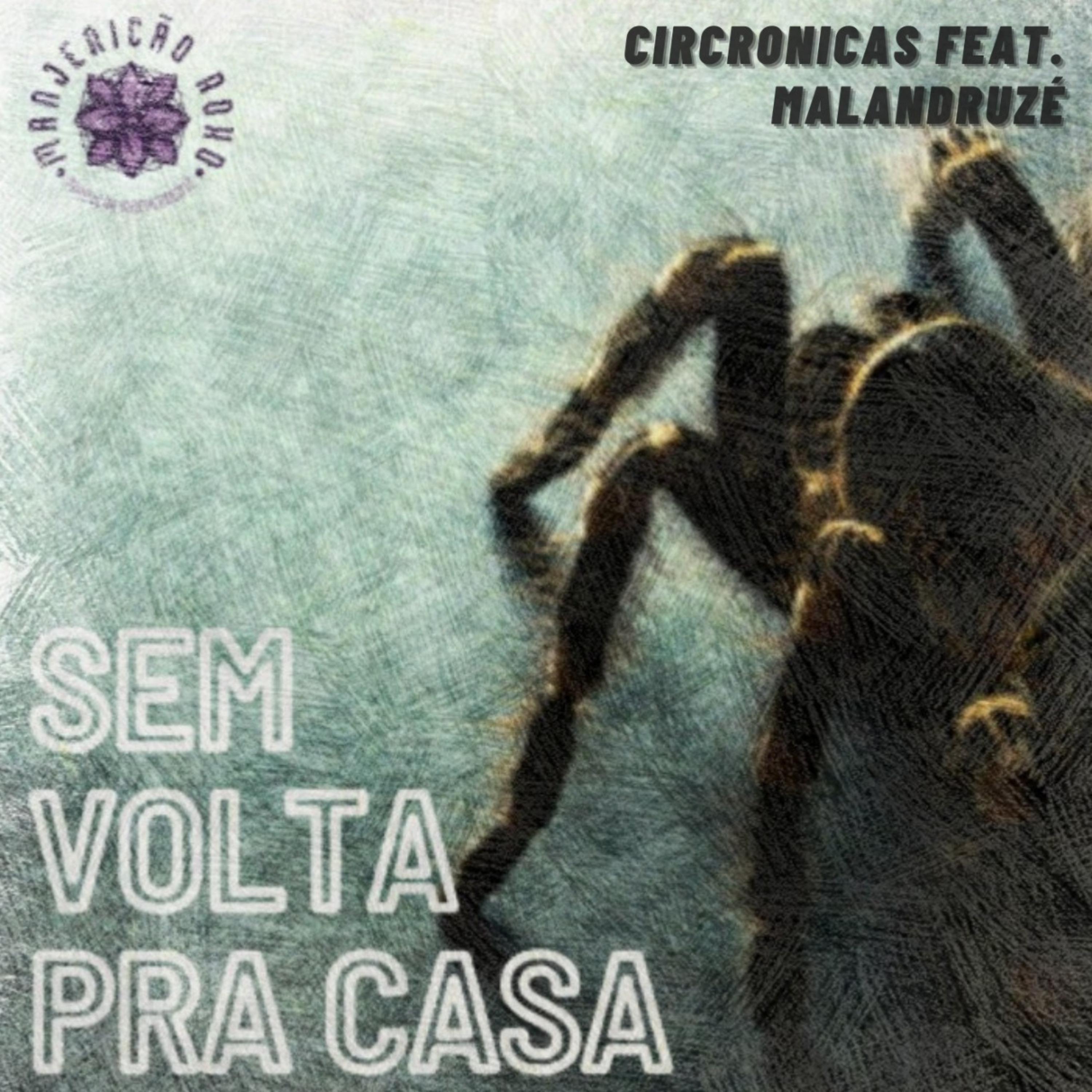 Постер альбома Sem Volta Pra Casa