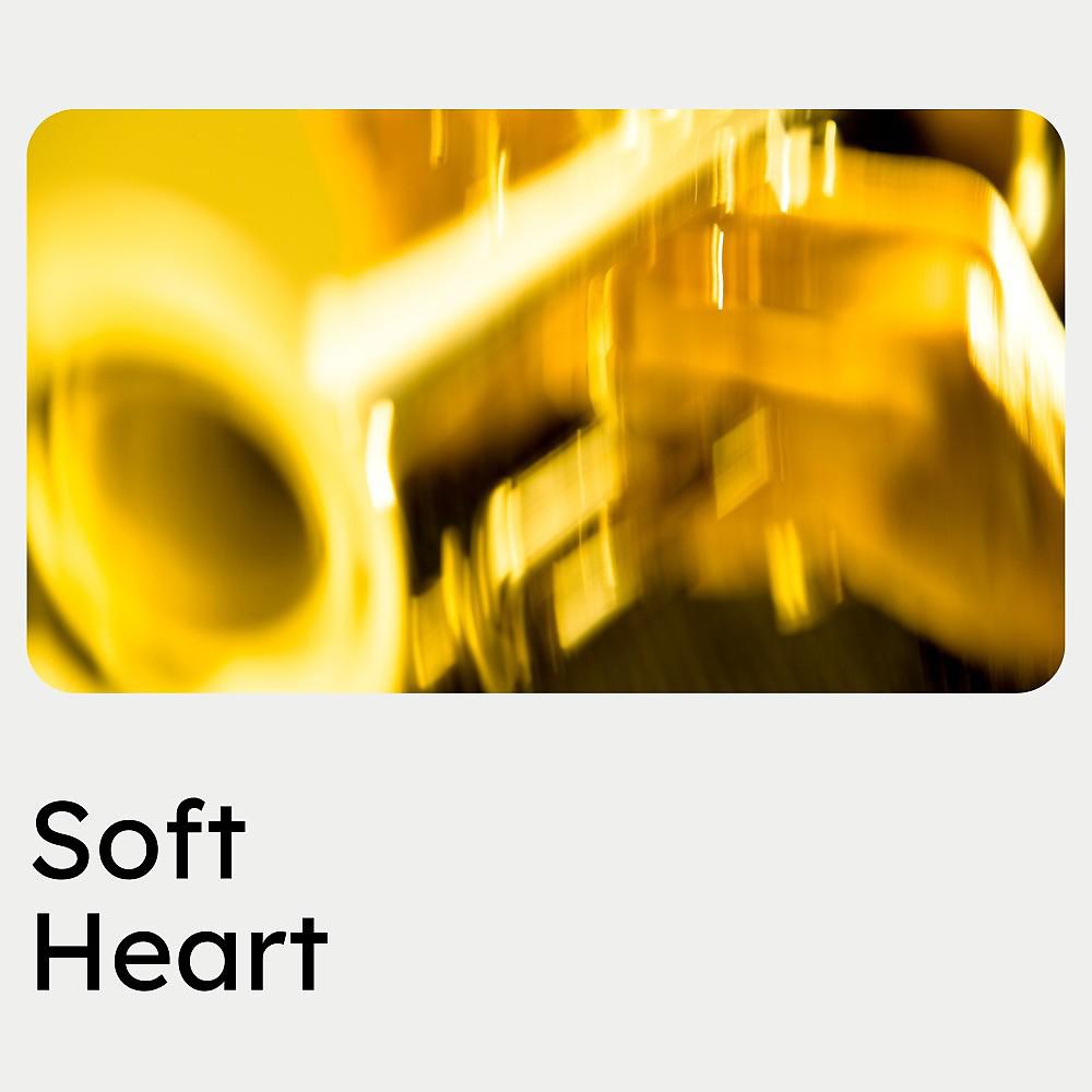 Постер альбома Soft Heart