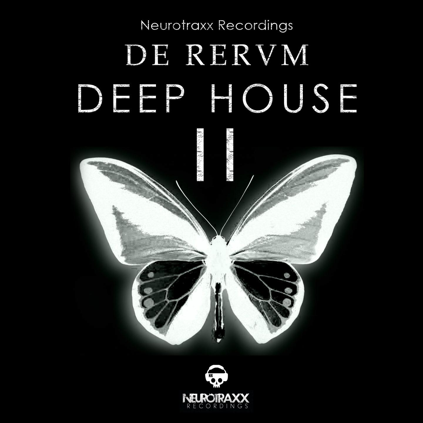 Постер альбома De Rerum Deep House, Vol. 2