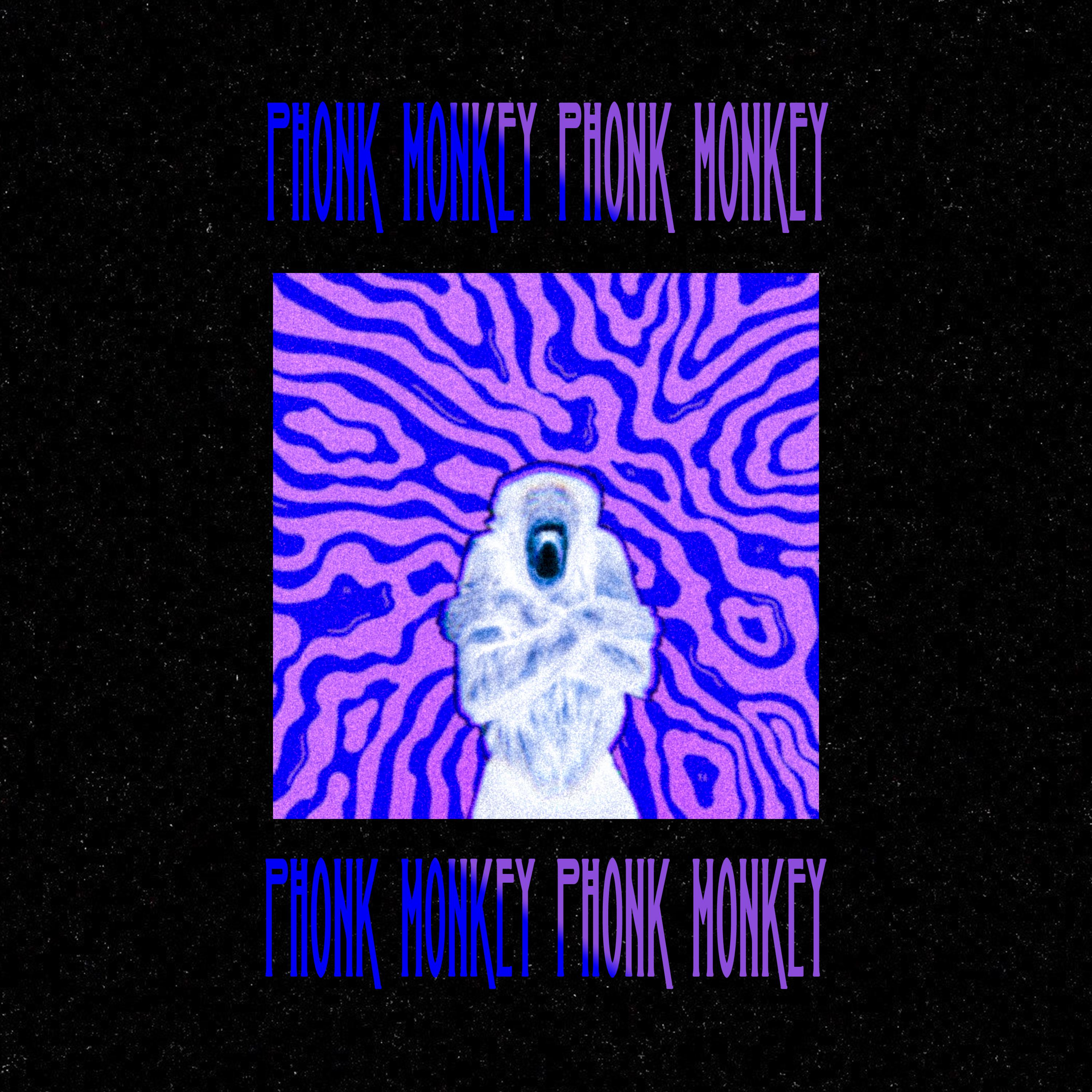 Постер альбома PHONK MONKEY