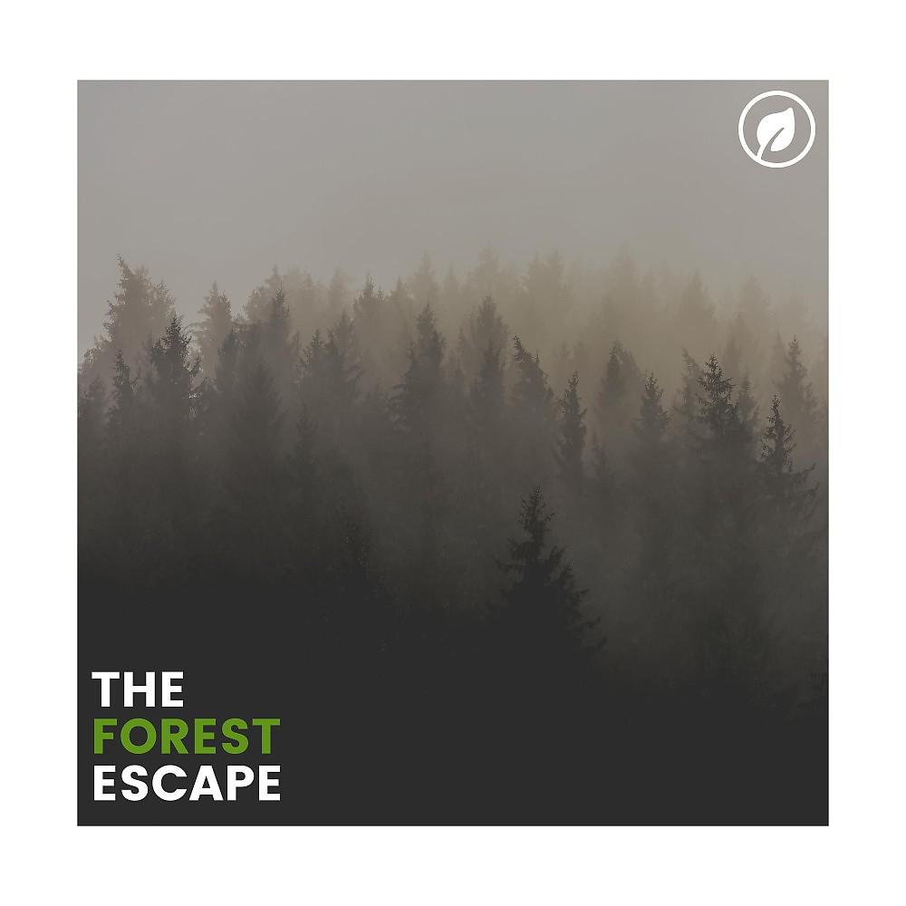 Постер альбома The Forest Escape