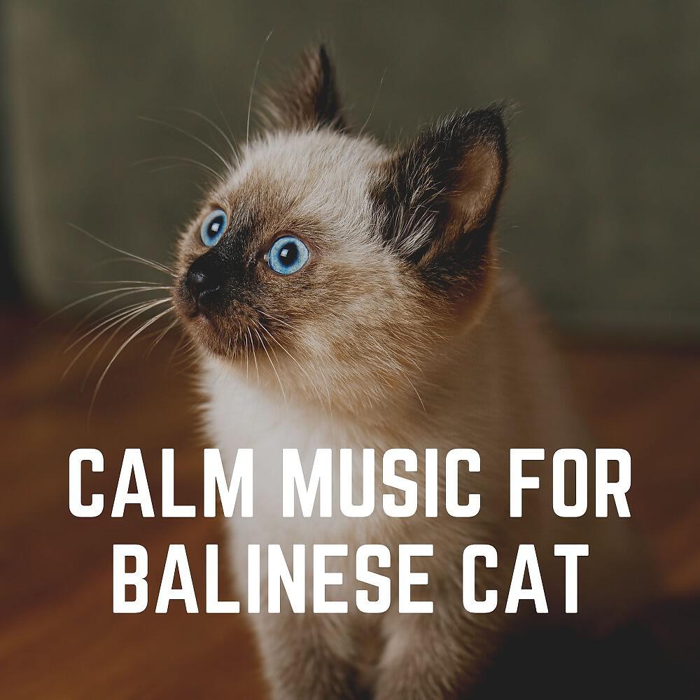 Music For Cats Peace - Ultimate Zen Music for Your Cat, Pt. 18