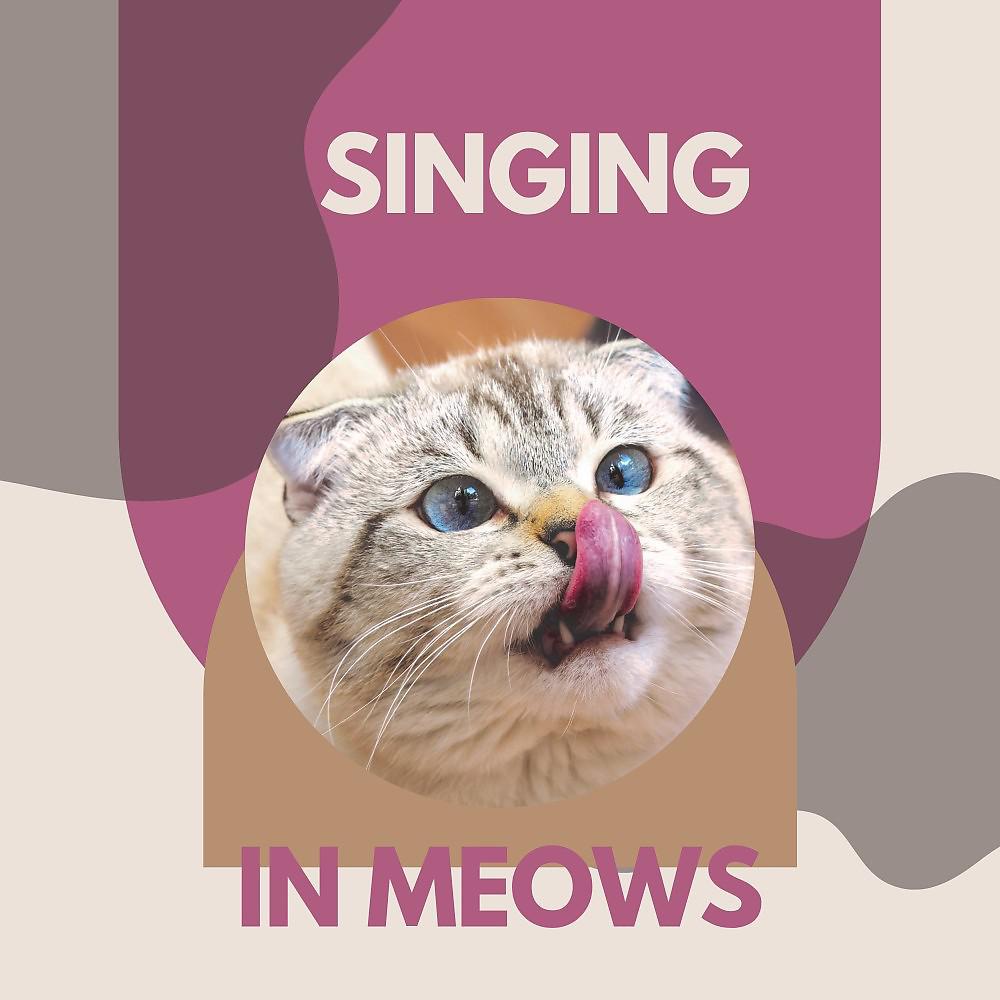 Постер альбома Singing in Meows