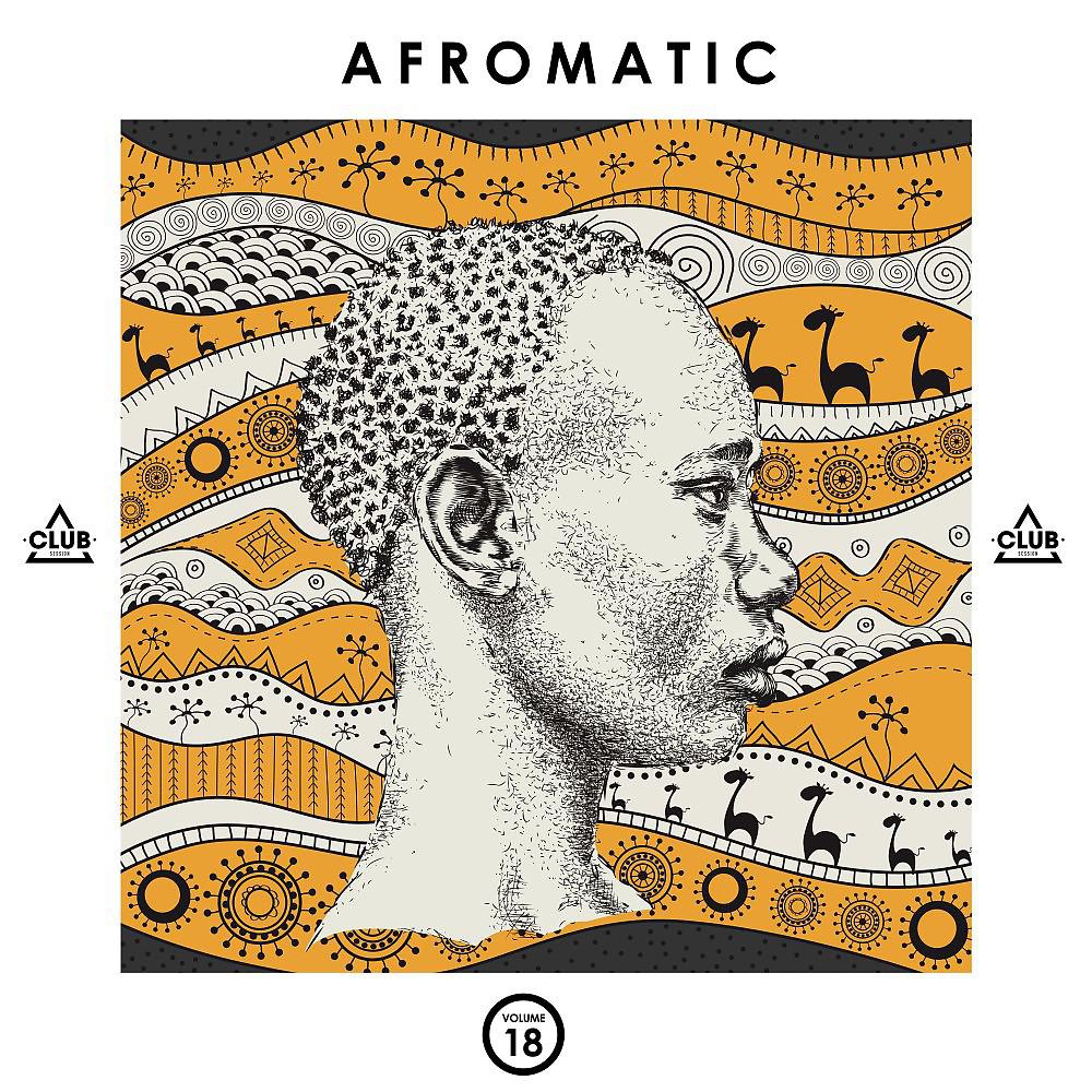 Постер альбома Afromatic, Vol. 18