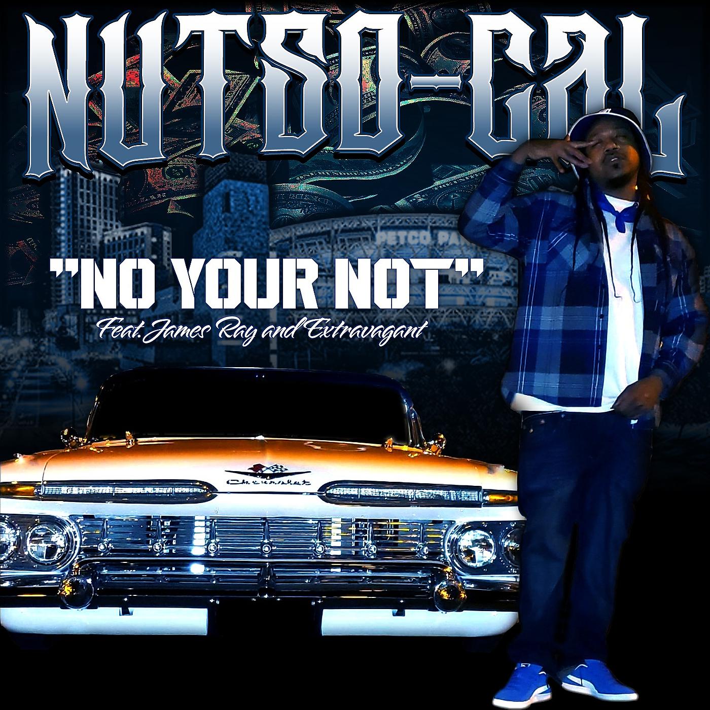 Постер альбома No Your Not