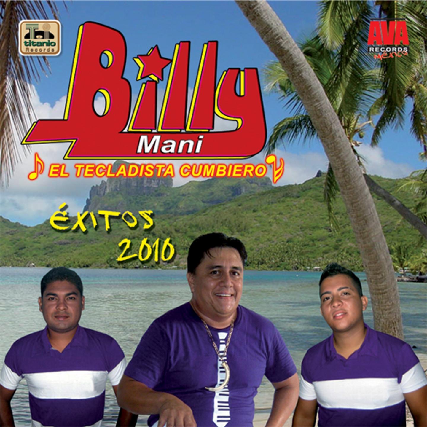 Постер альбома Exitos 2010