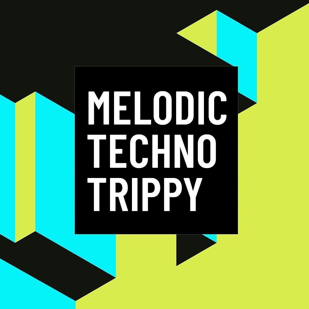Постер альбома Melodic Techno Trippy