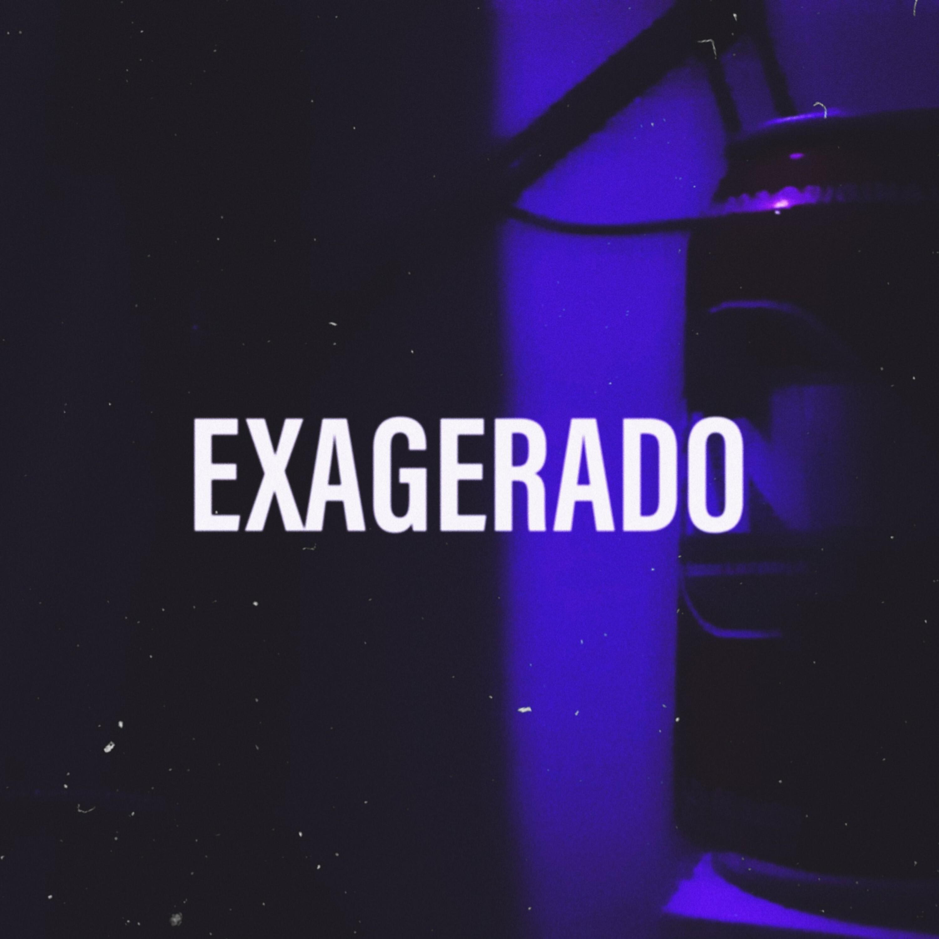 Постер альбома Exagerado