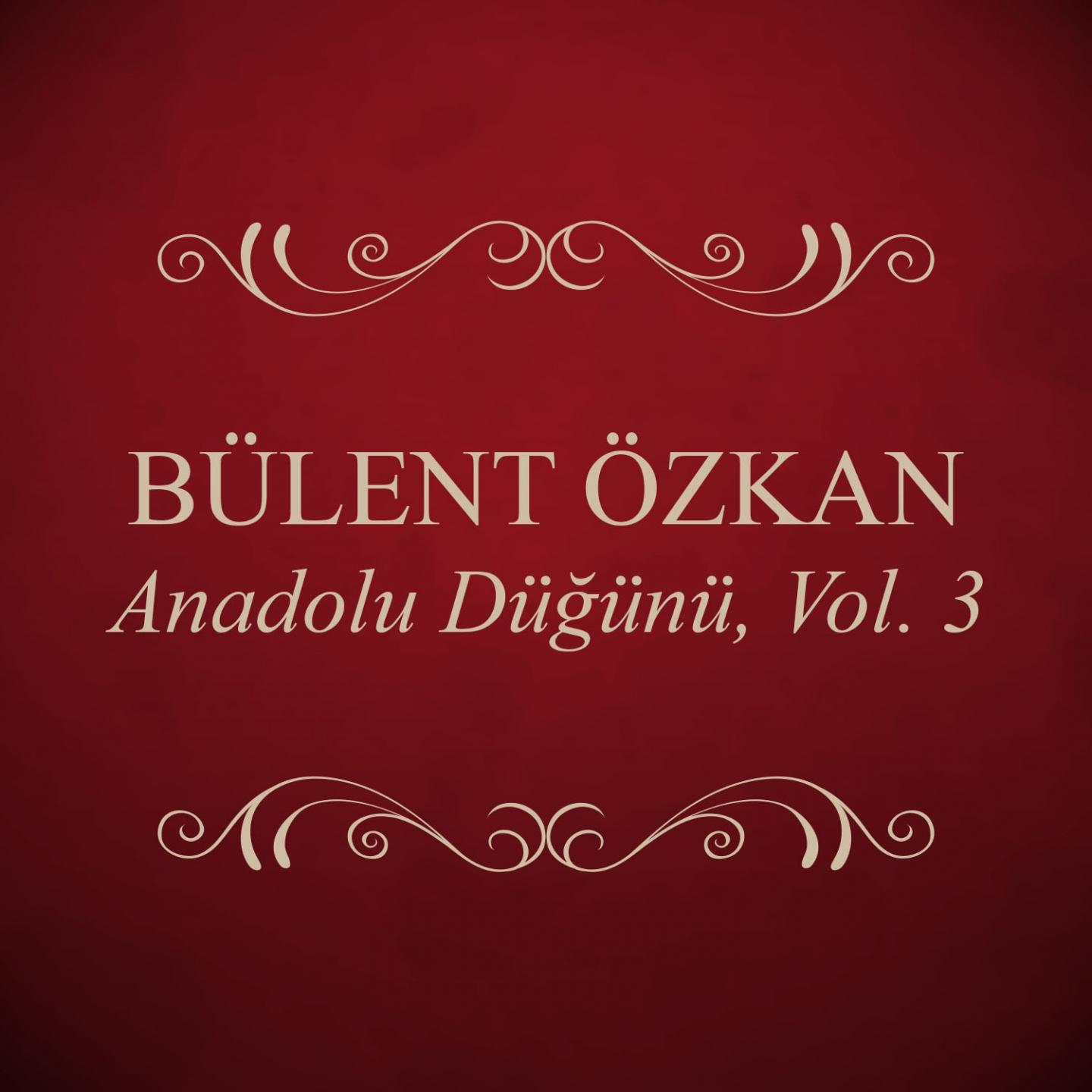 Постер альбома Anadolu Düğünü, Vol. 3