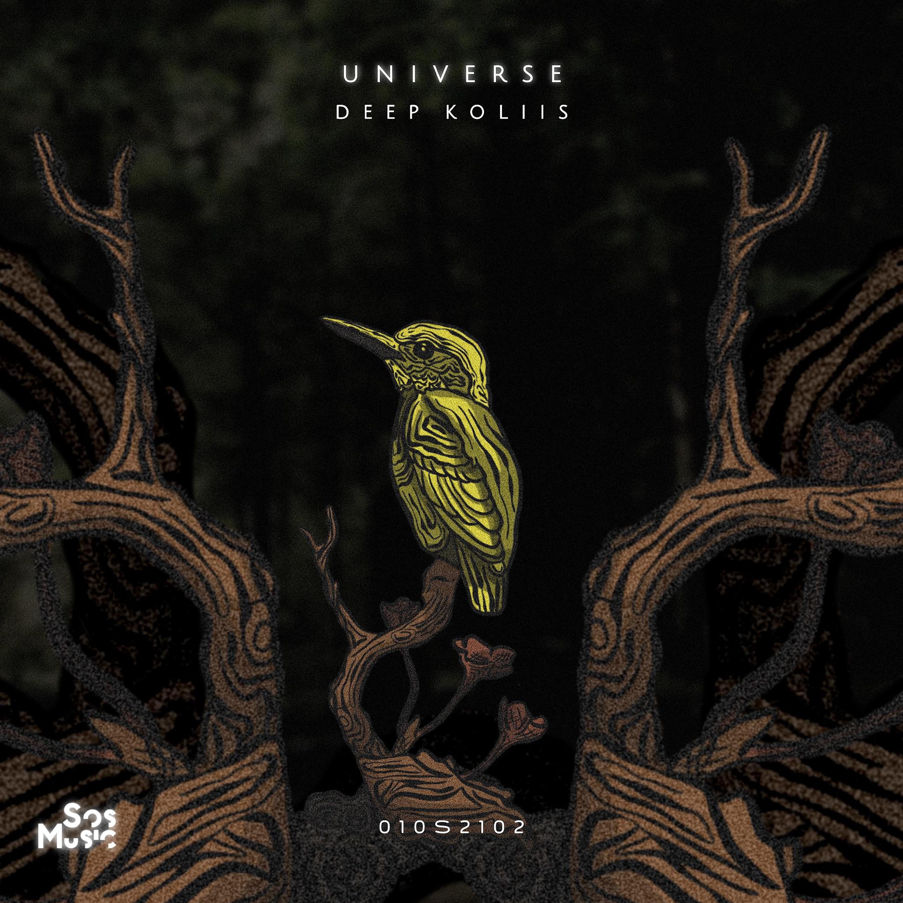 Постер альбома Universe