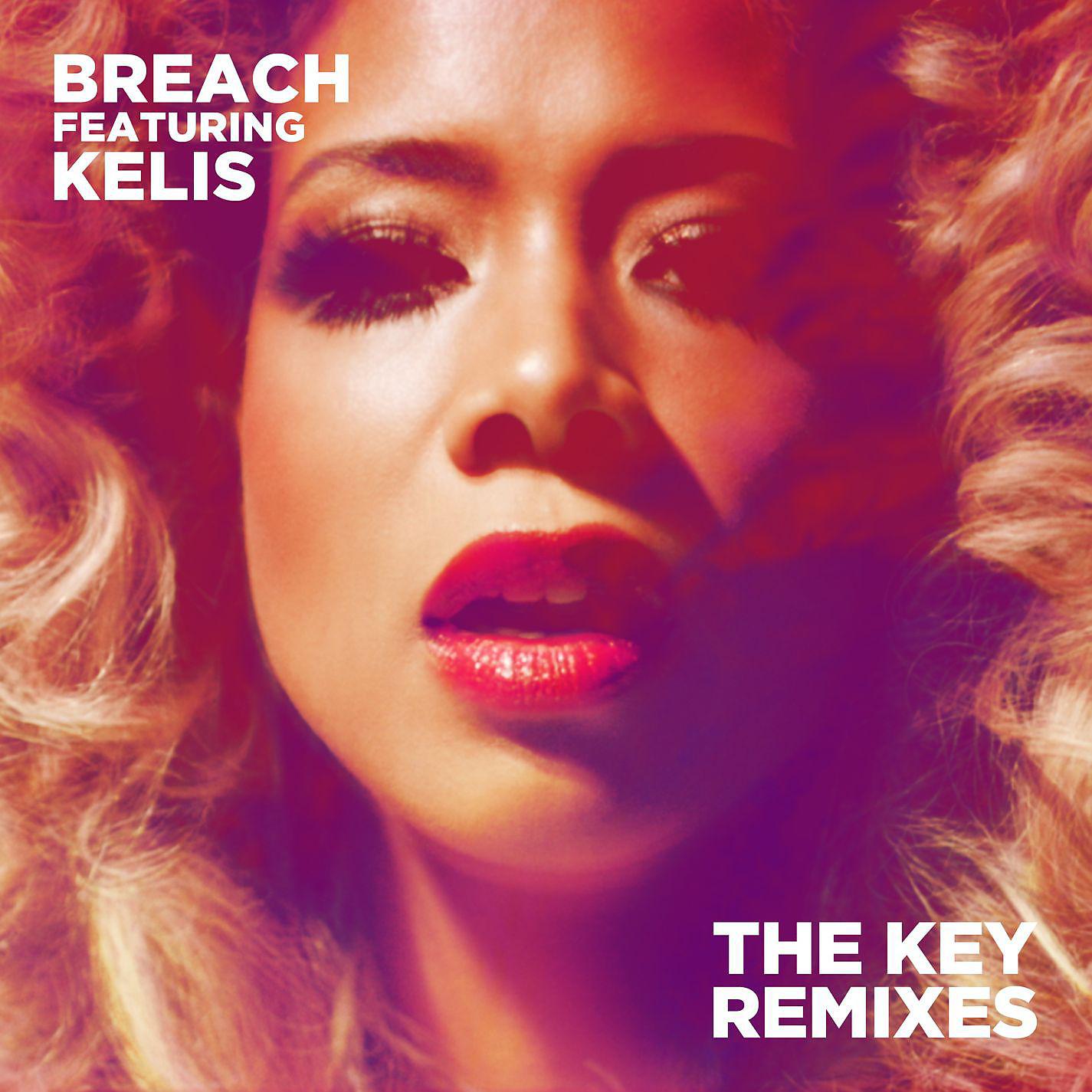 Постер альбома The Key (feat. Kelis) (Remixes)