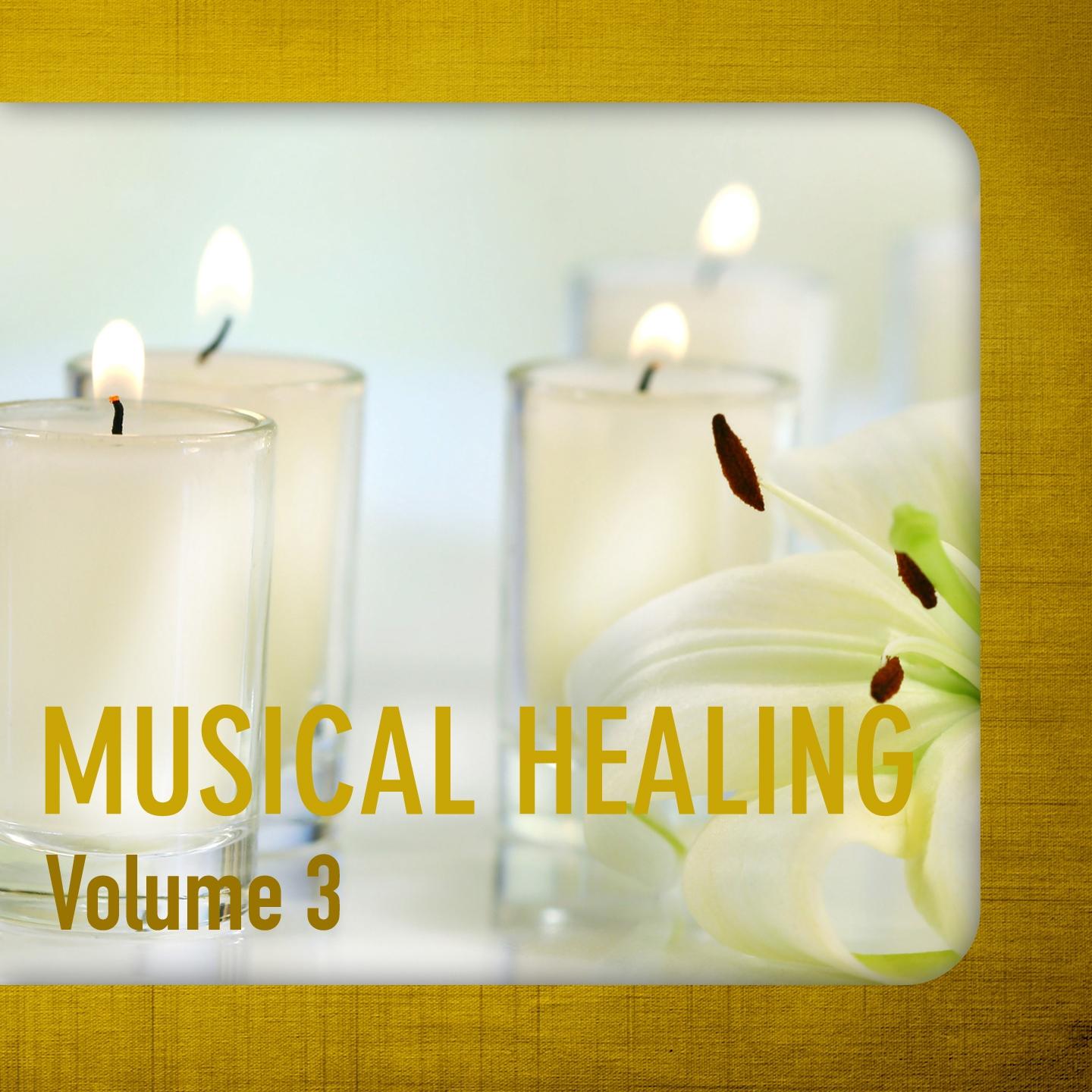 Постер альбома Musical Healing, Vol. 3