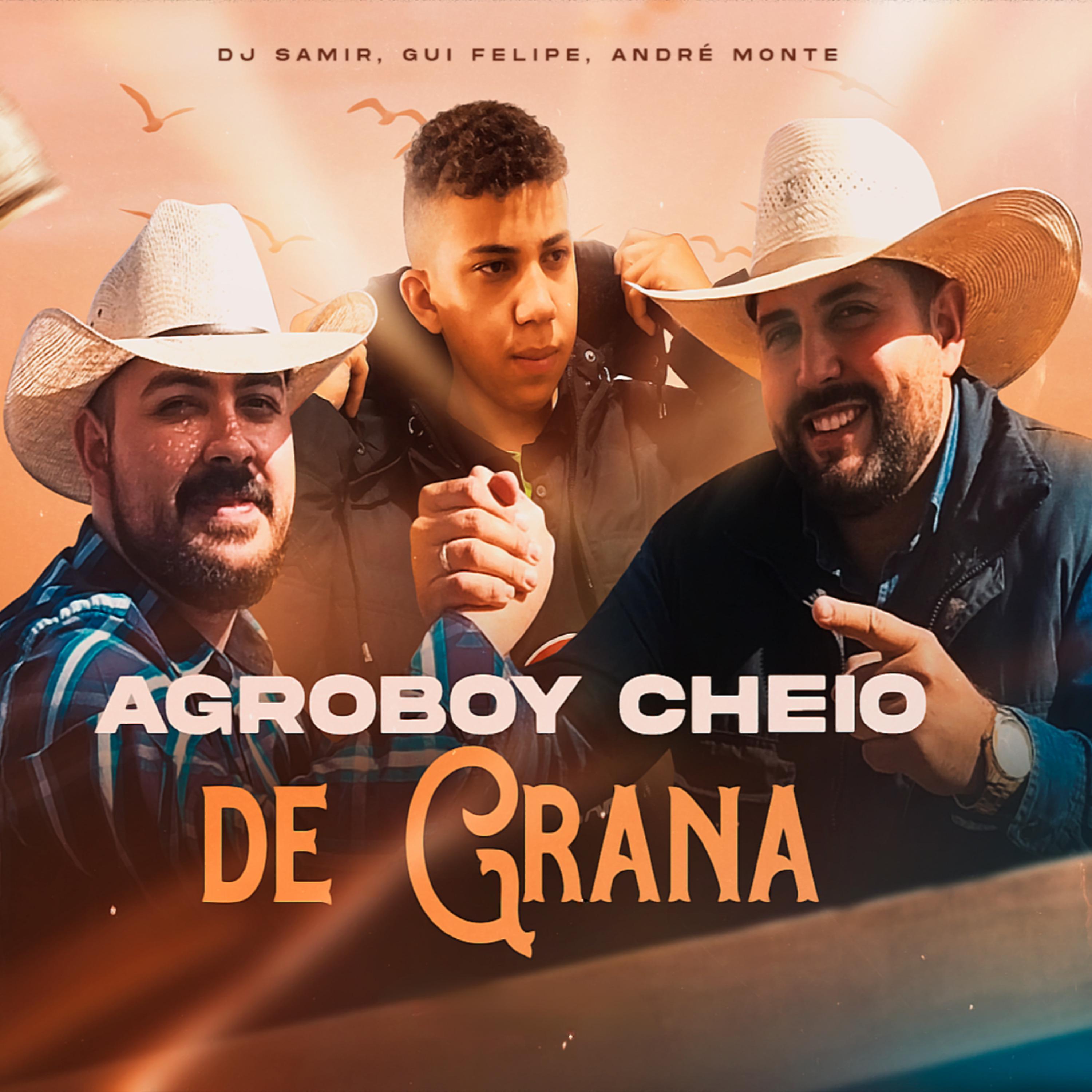 Постер альбома Agroboy Cheio de Grana