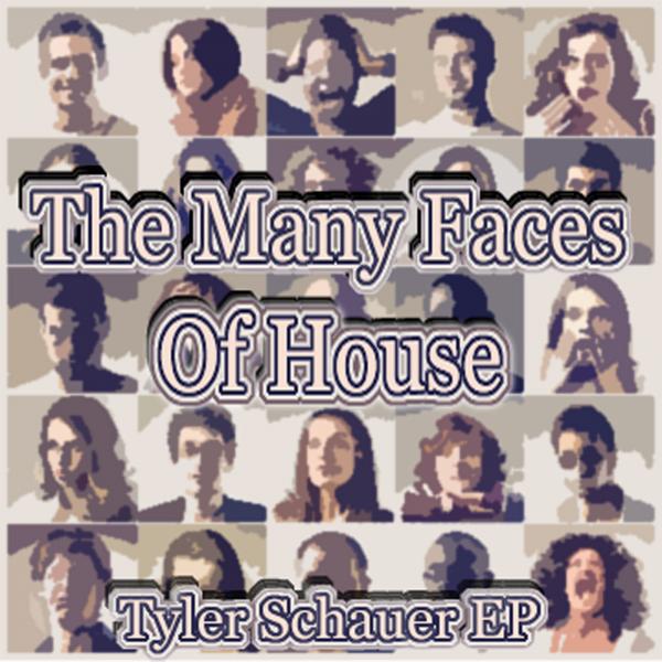 Постер альбома The Many Faces Of House