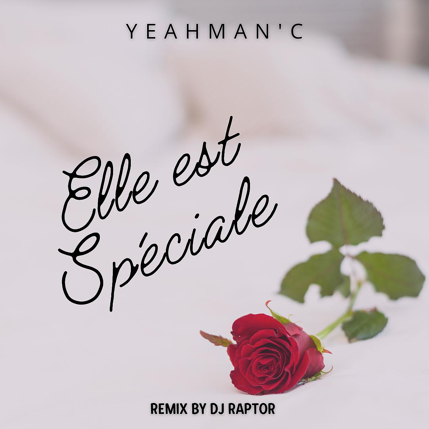 Постер альбома Elle est spéciale (Dj Raptor Remix)