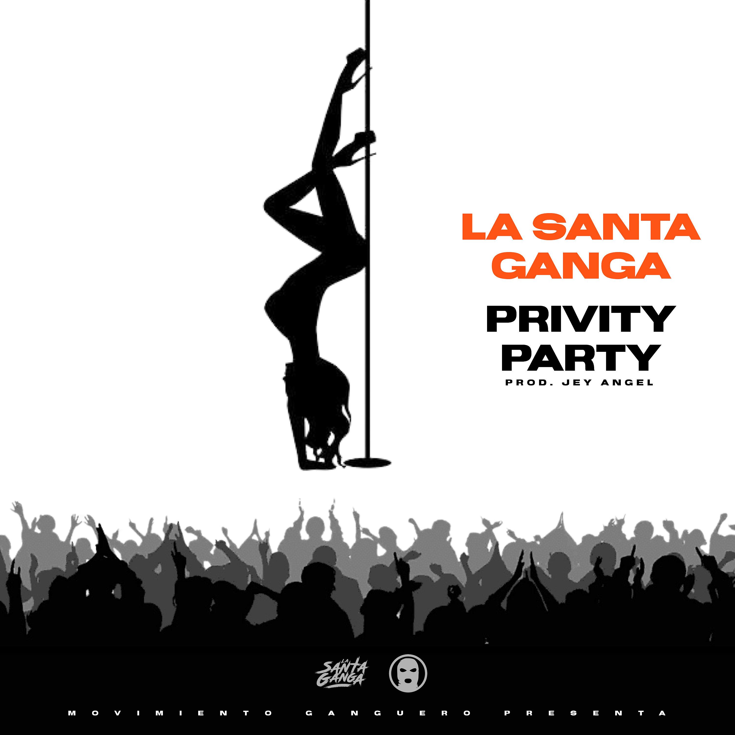 Постер альбома Privity Party