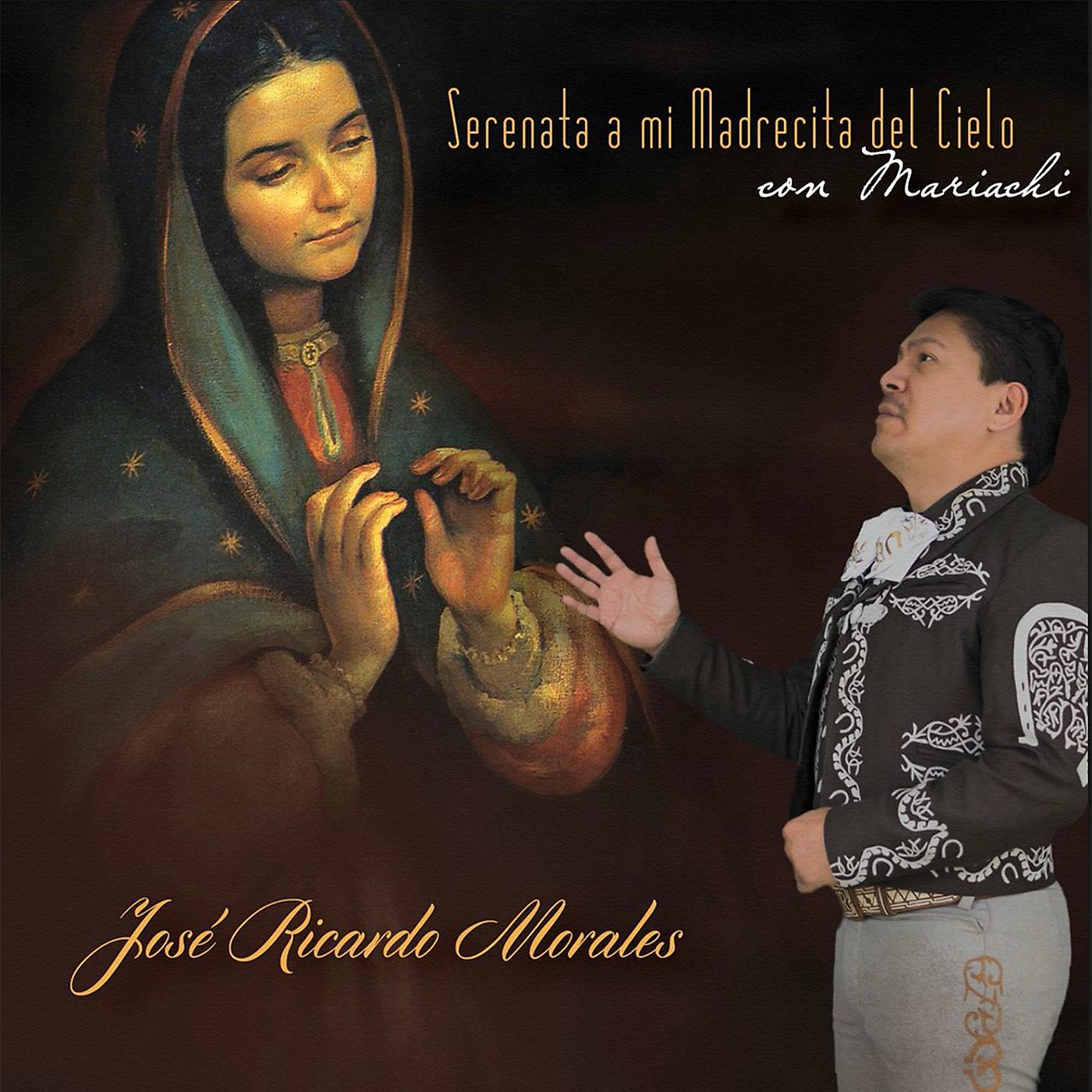 Постер альбома Serenata a Mi Madrecita Del Cielo Con Mariachi