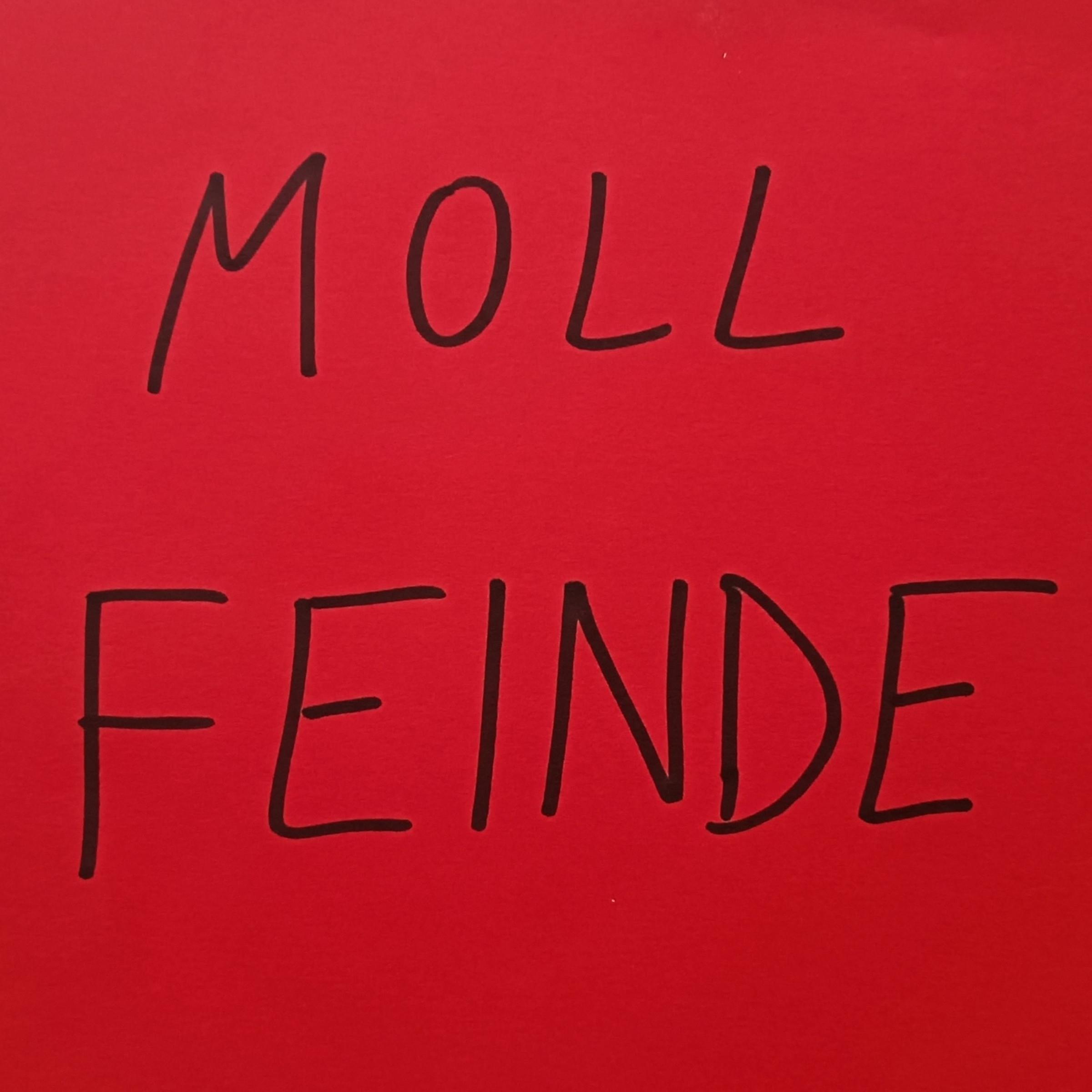 Постер альбома Feinde