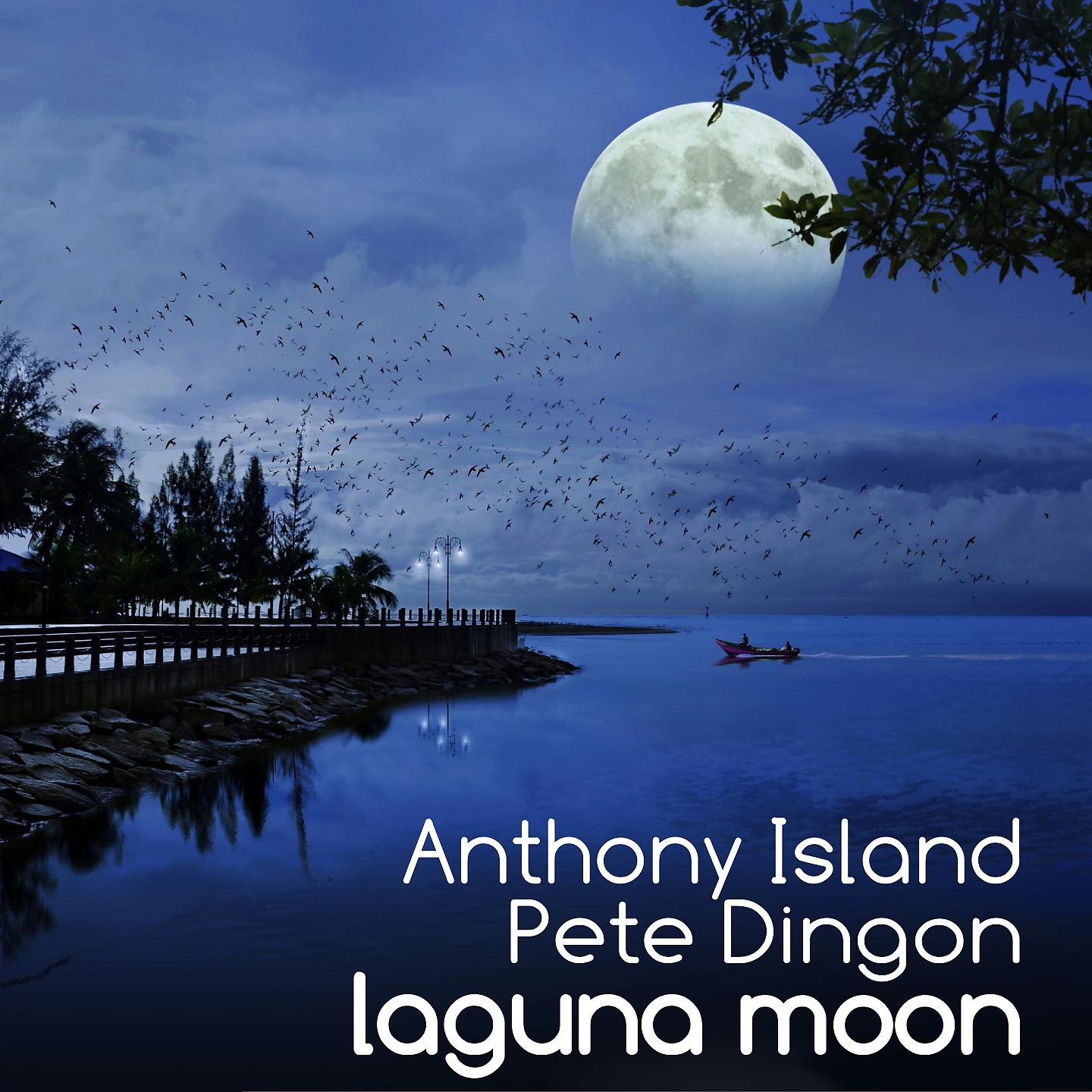 Постер альбома Laguna Moon