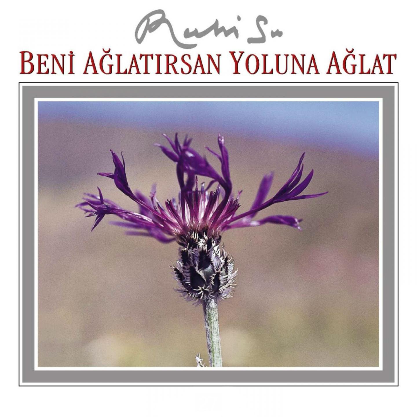 Постер альбома Beni Ağlatırsan Yoluna Ağlat