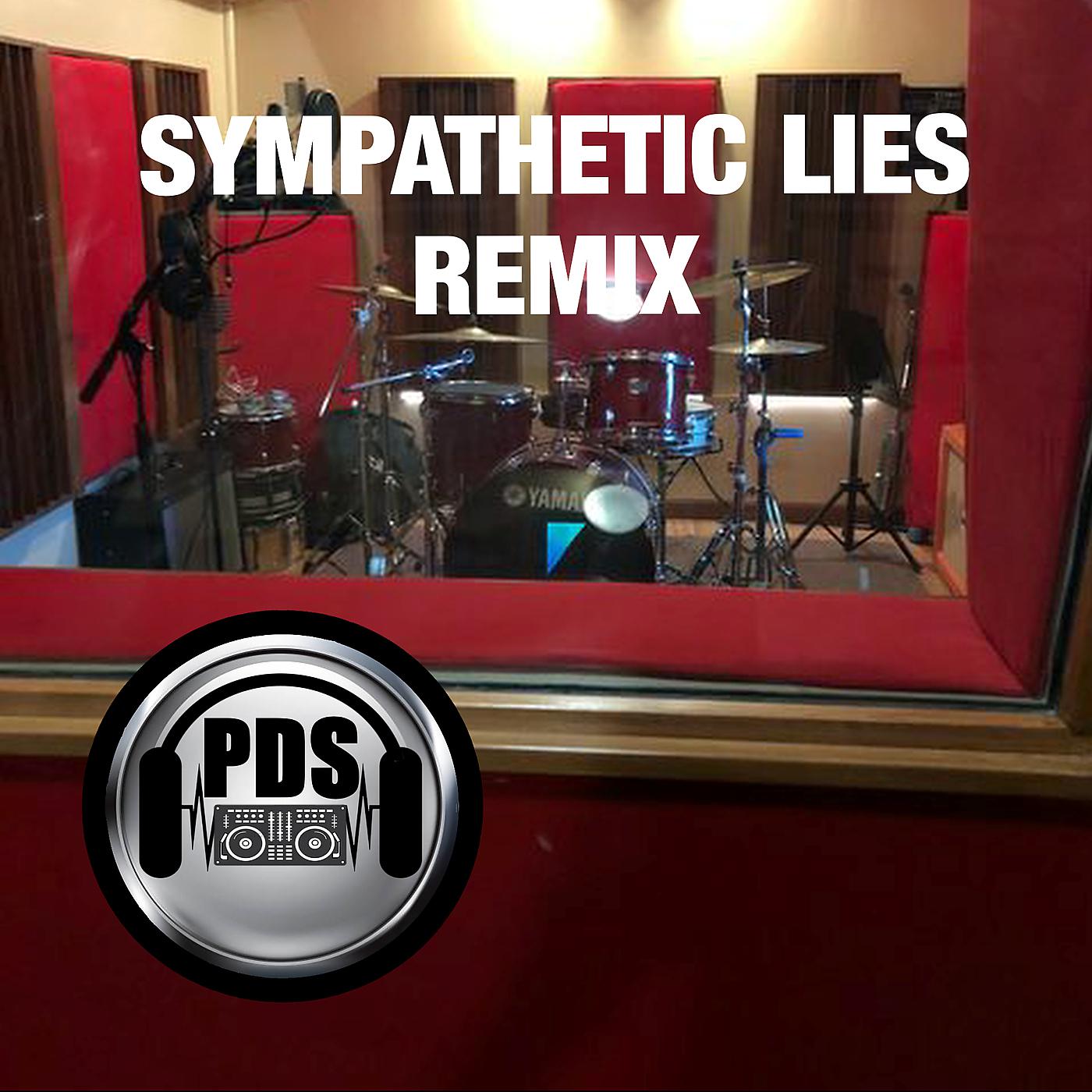 Постер альбома Sympathetic Lies (Remix)