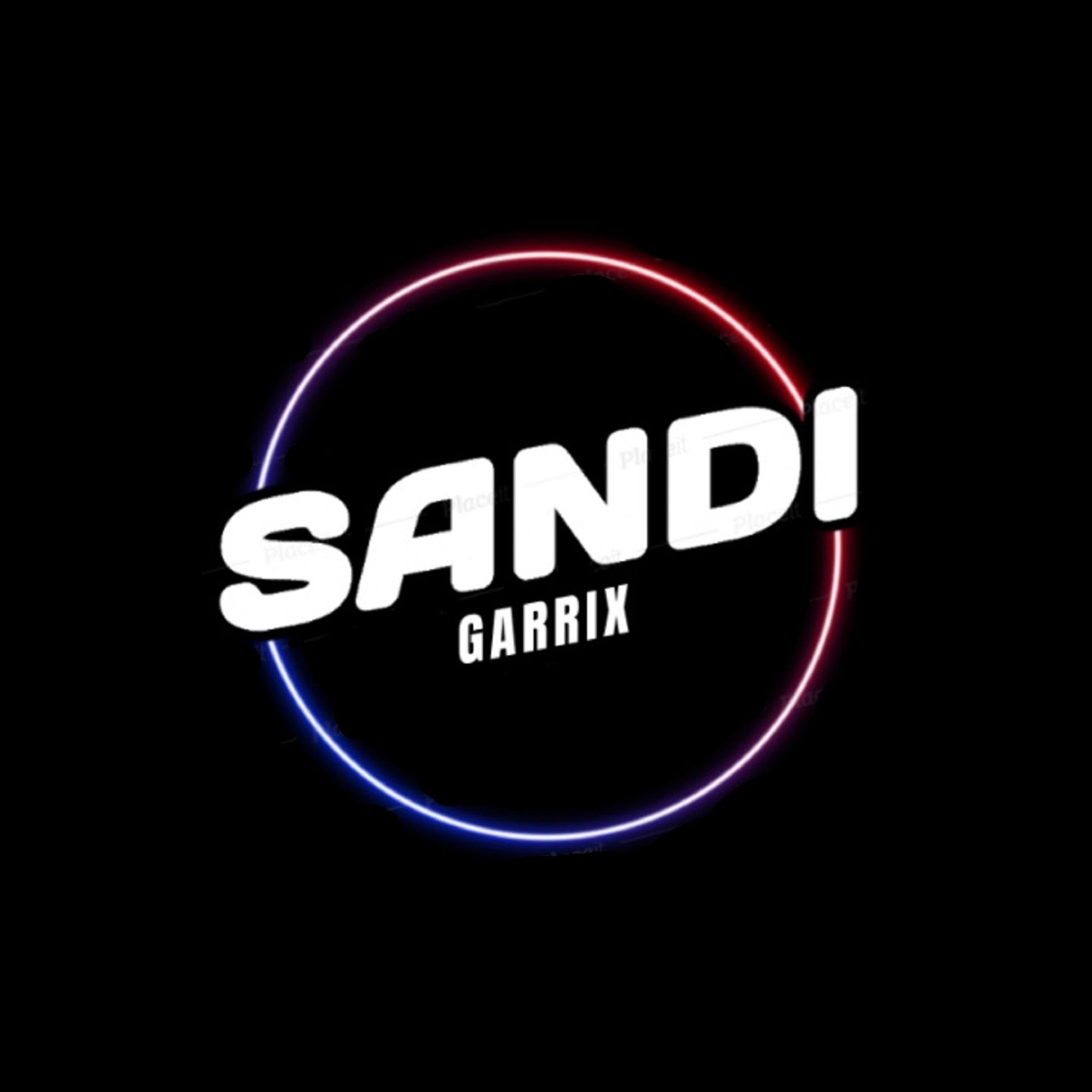 Постер альбома Best Of Sandi Garrix