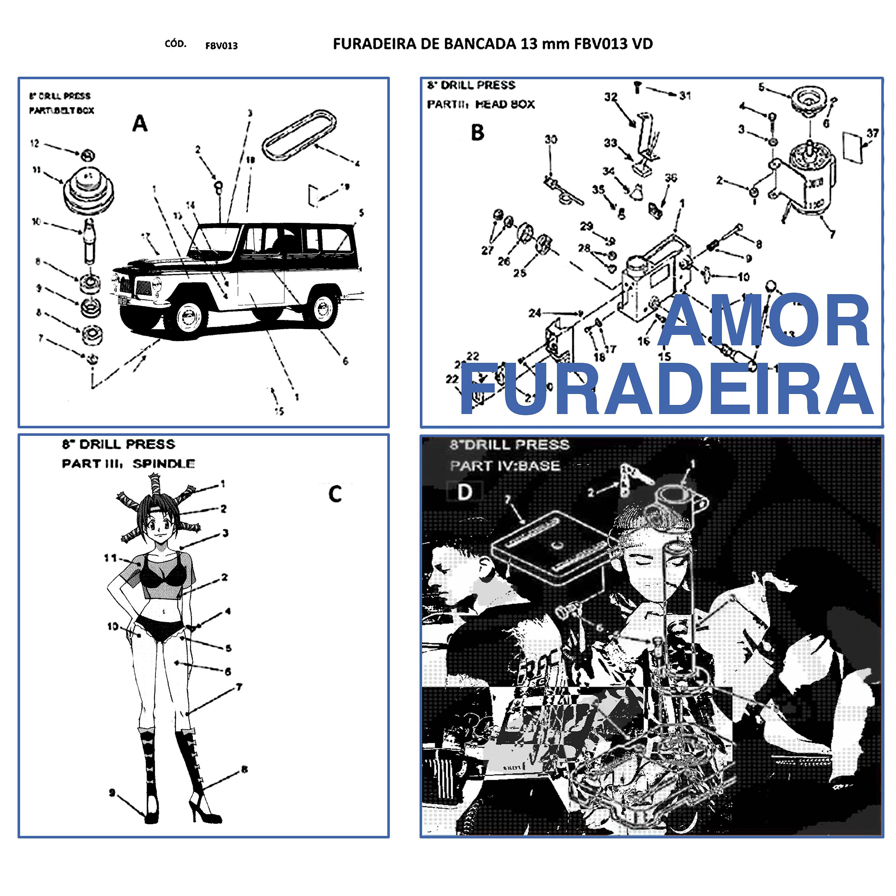 Постер альбома Amor Furadeira